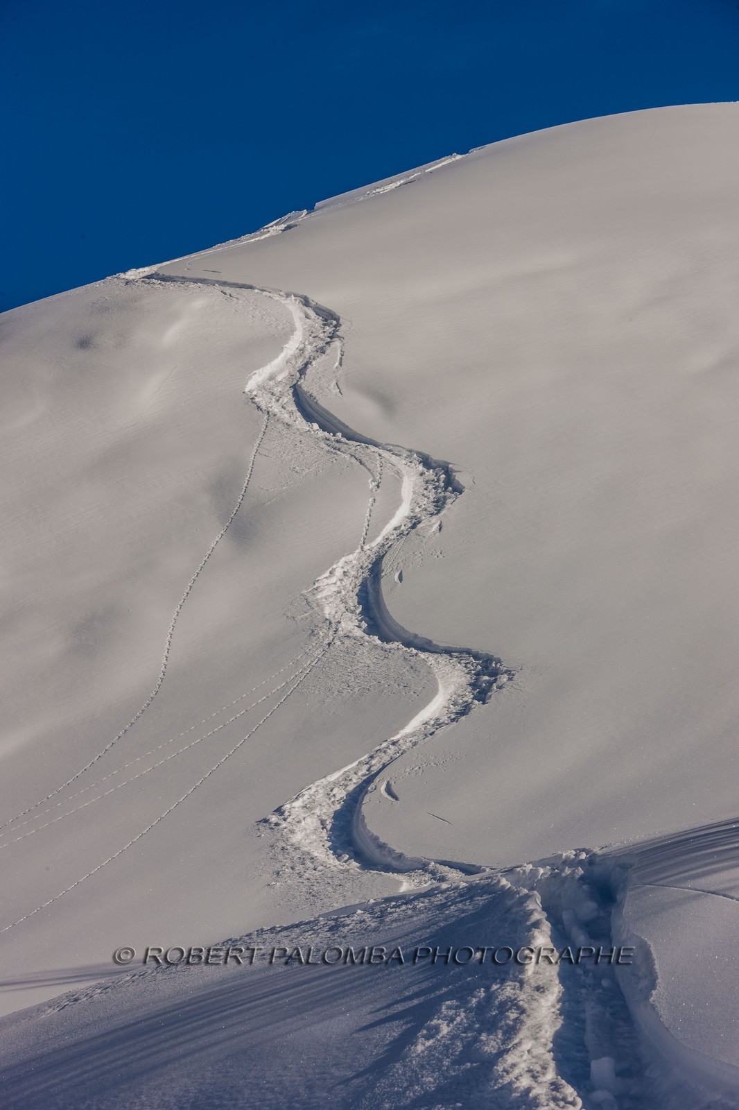 Auron