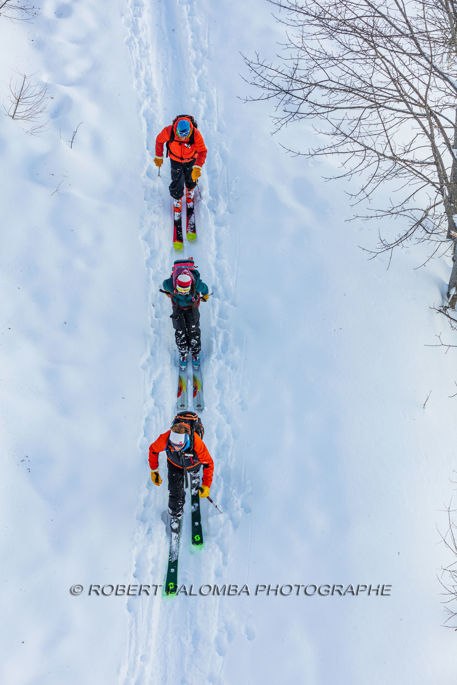 Ski de randonnée