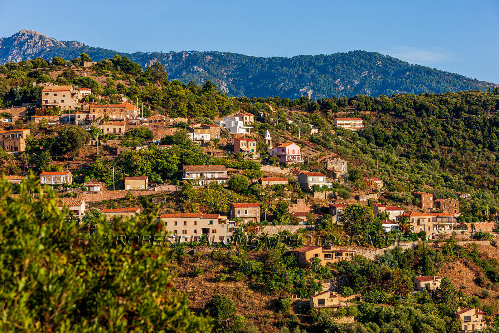 Partinello