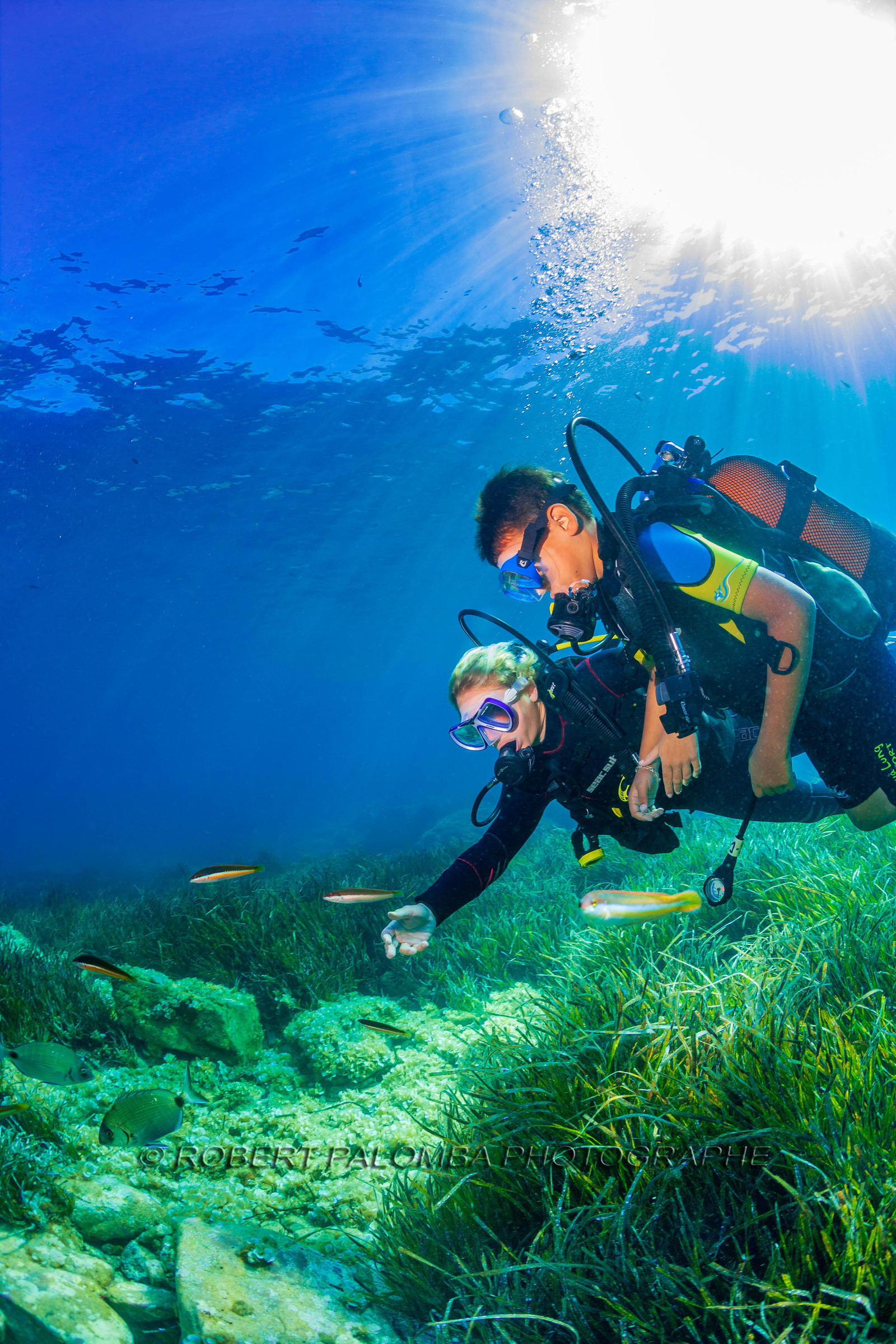 Plongée-sous-marine