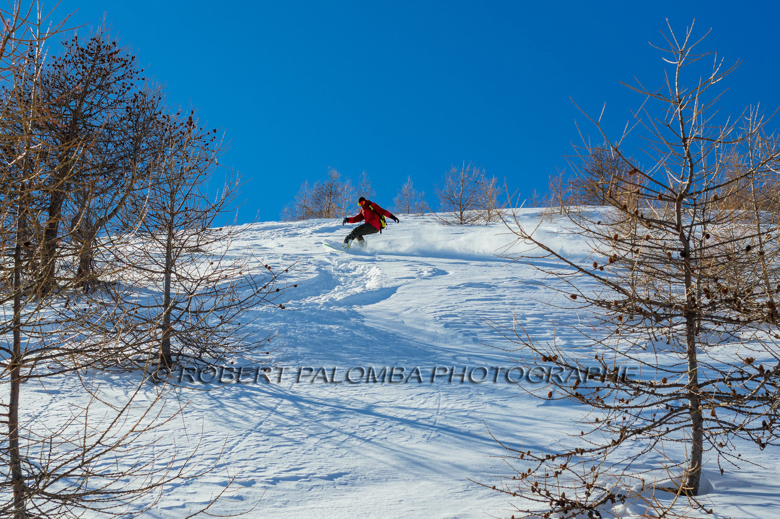 Snowboard