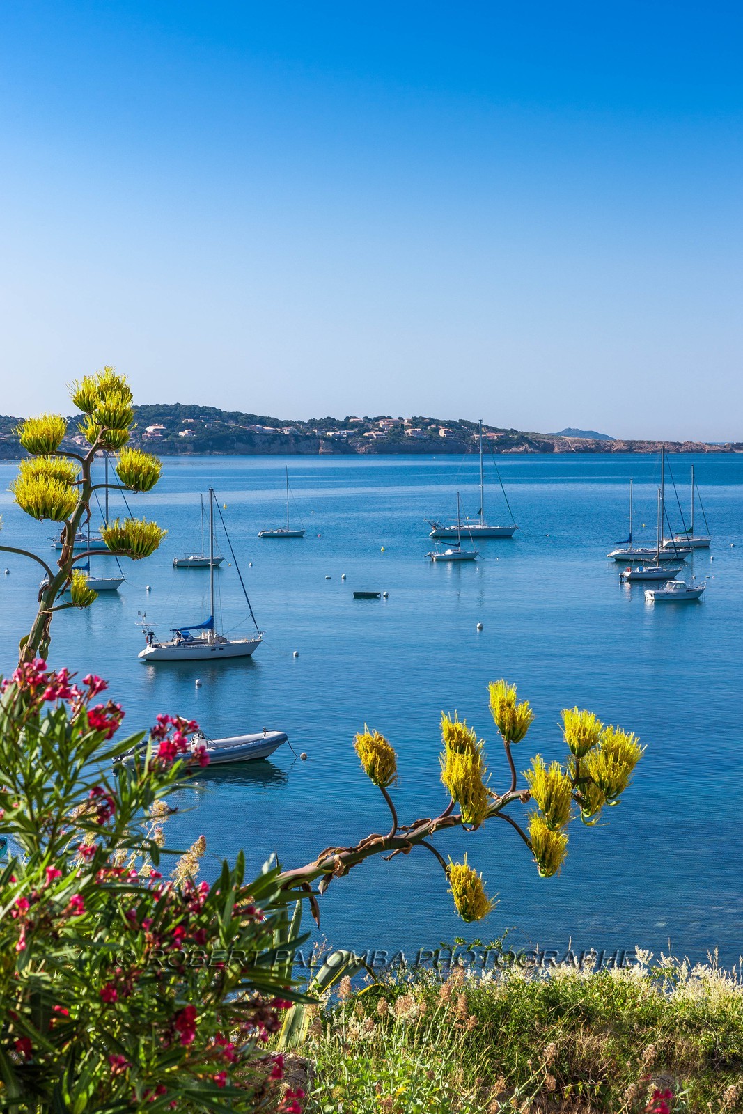 Bandol