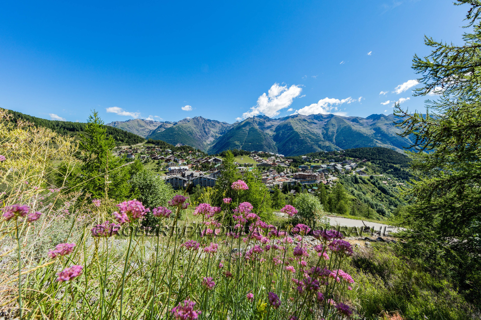 Auron