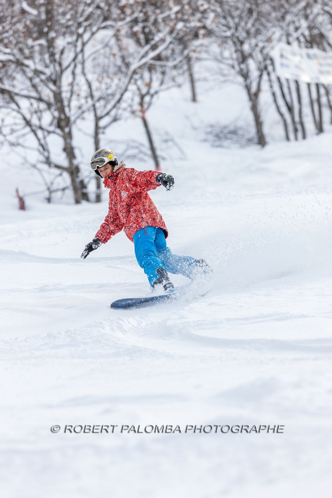 Snowboard