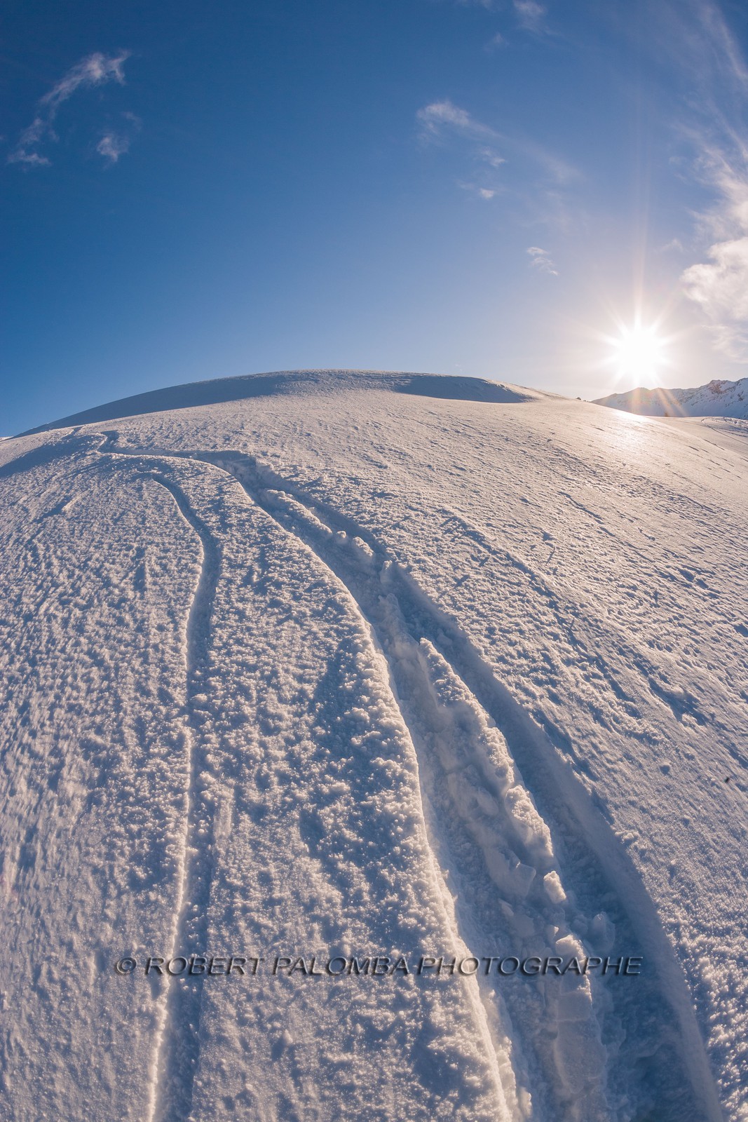 Auron