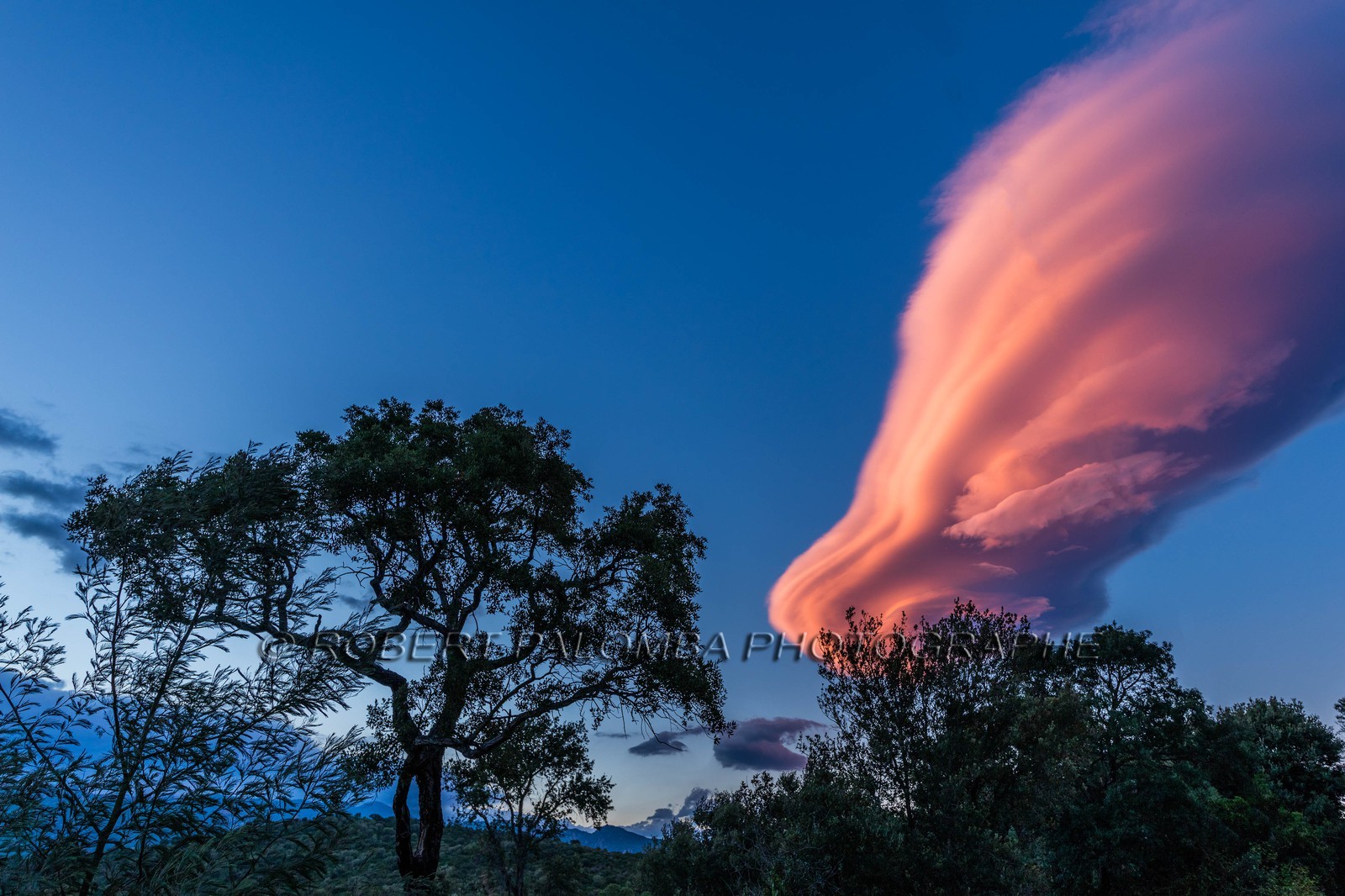 Lenticulaire