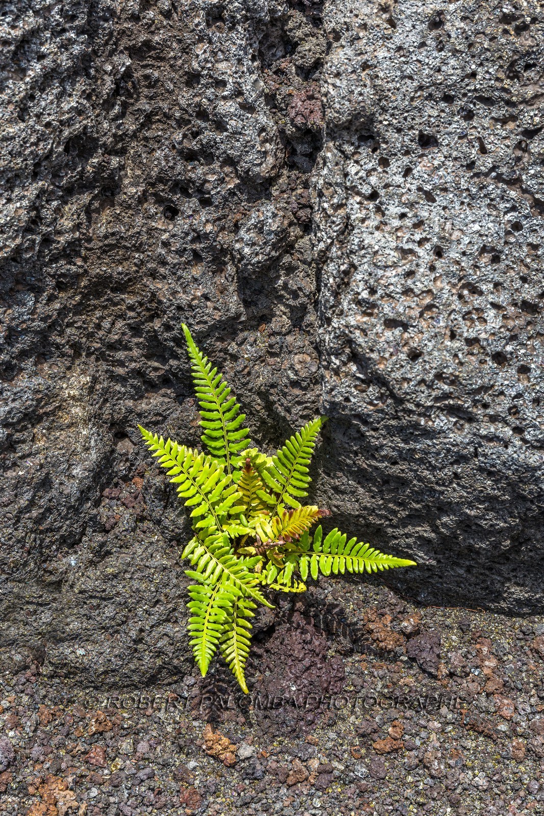 Ile de La Réunion