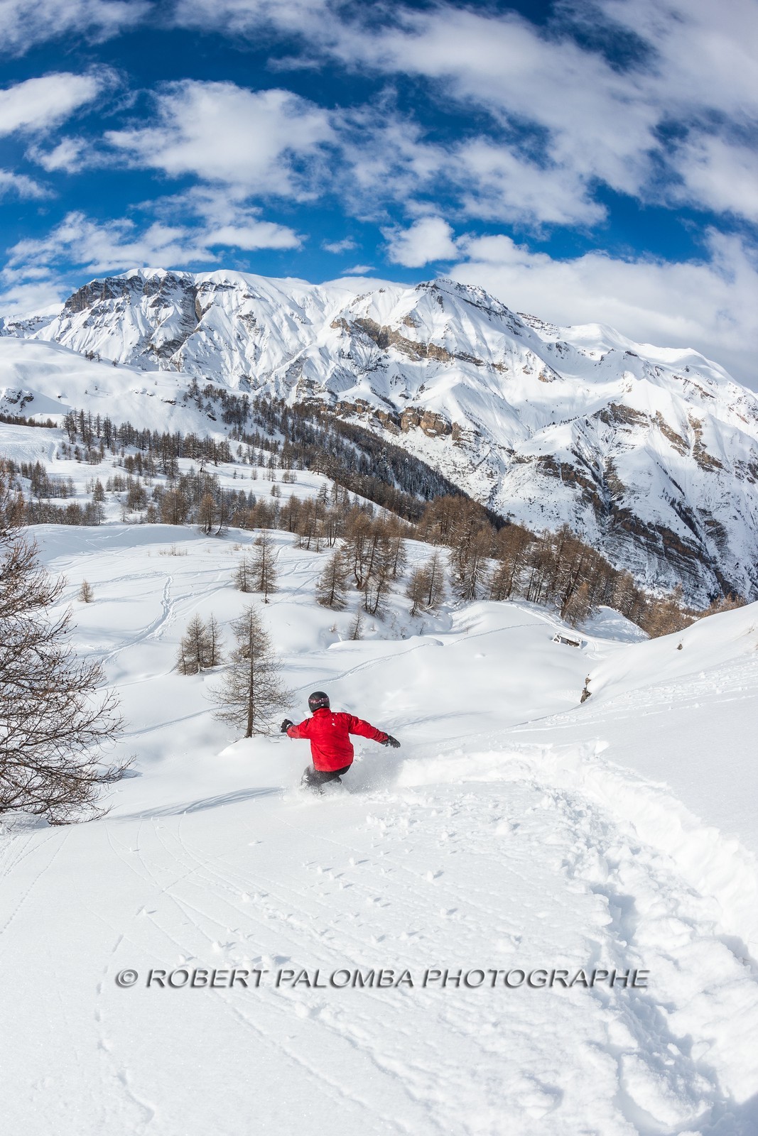 Auron