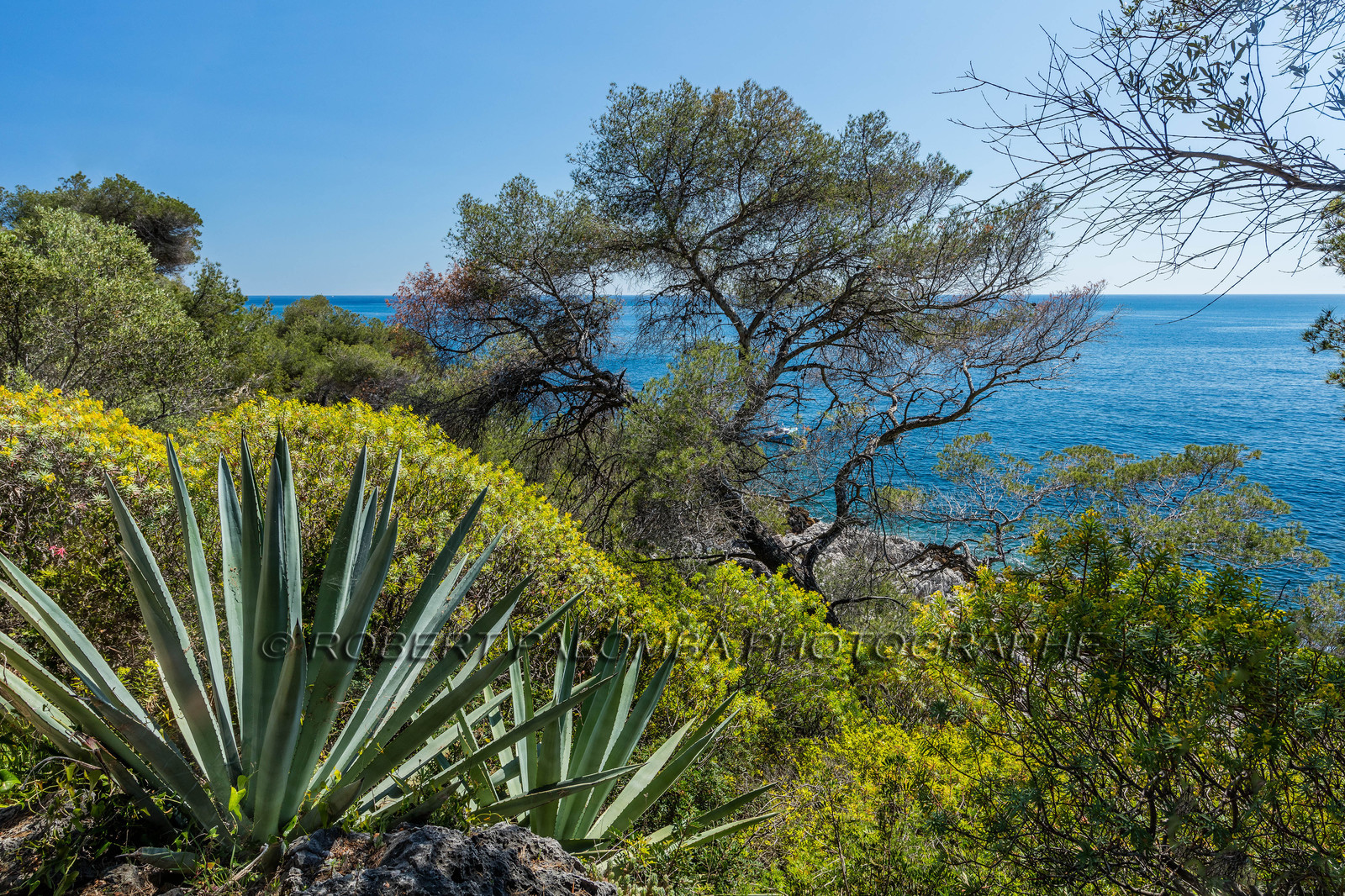 Roquebrune-Cap-Martin