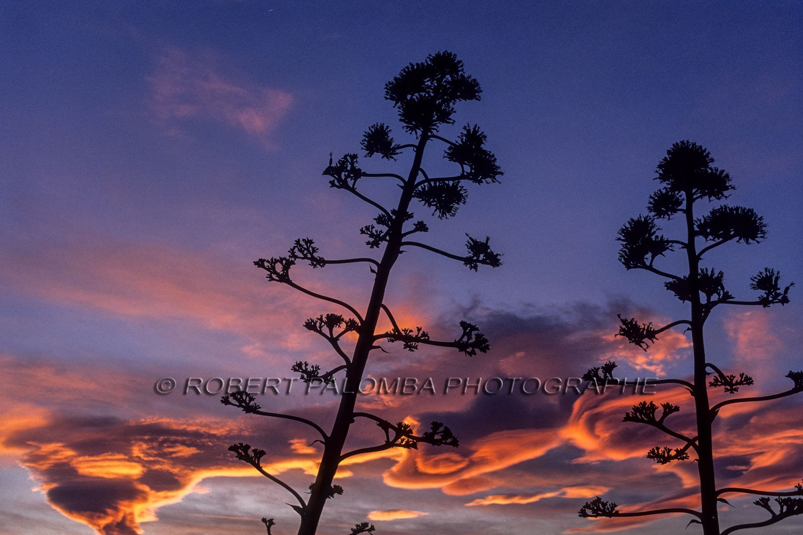 Nuages lenticulaires
