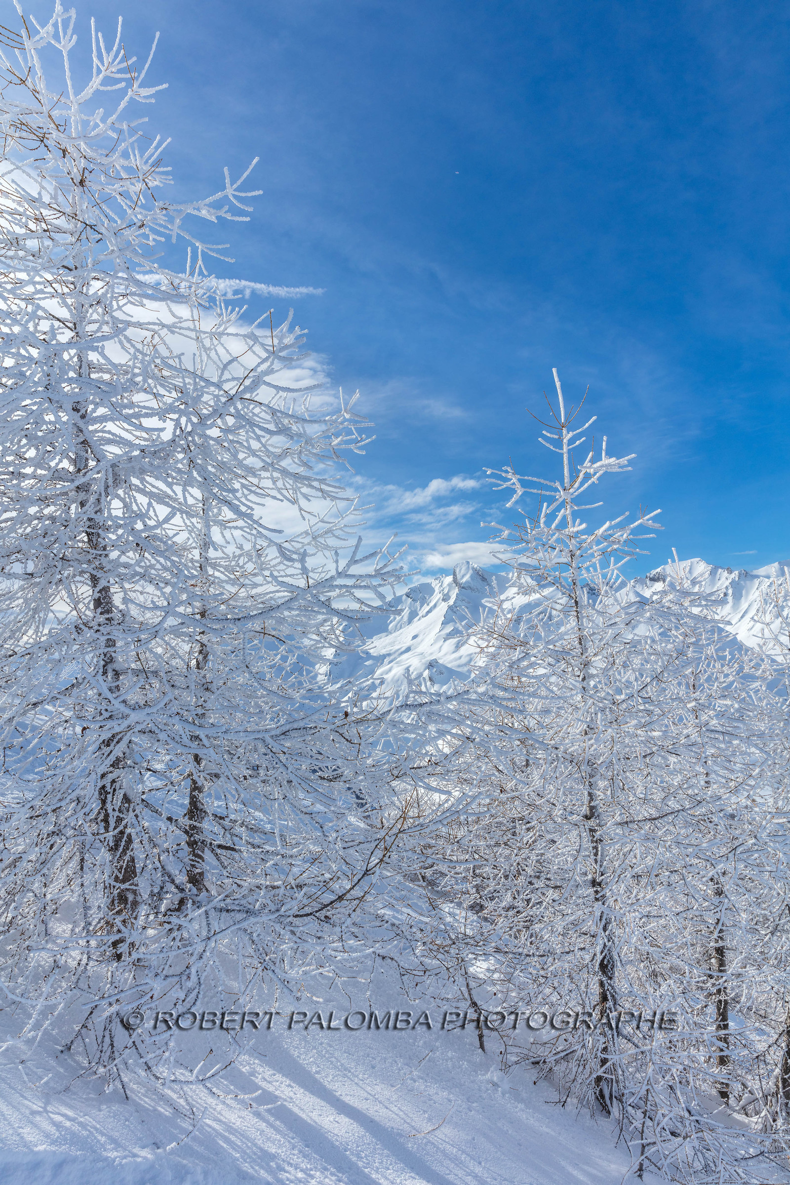 La Foux-d'Allos