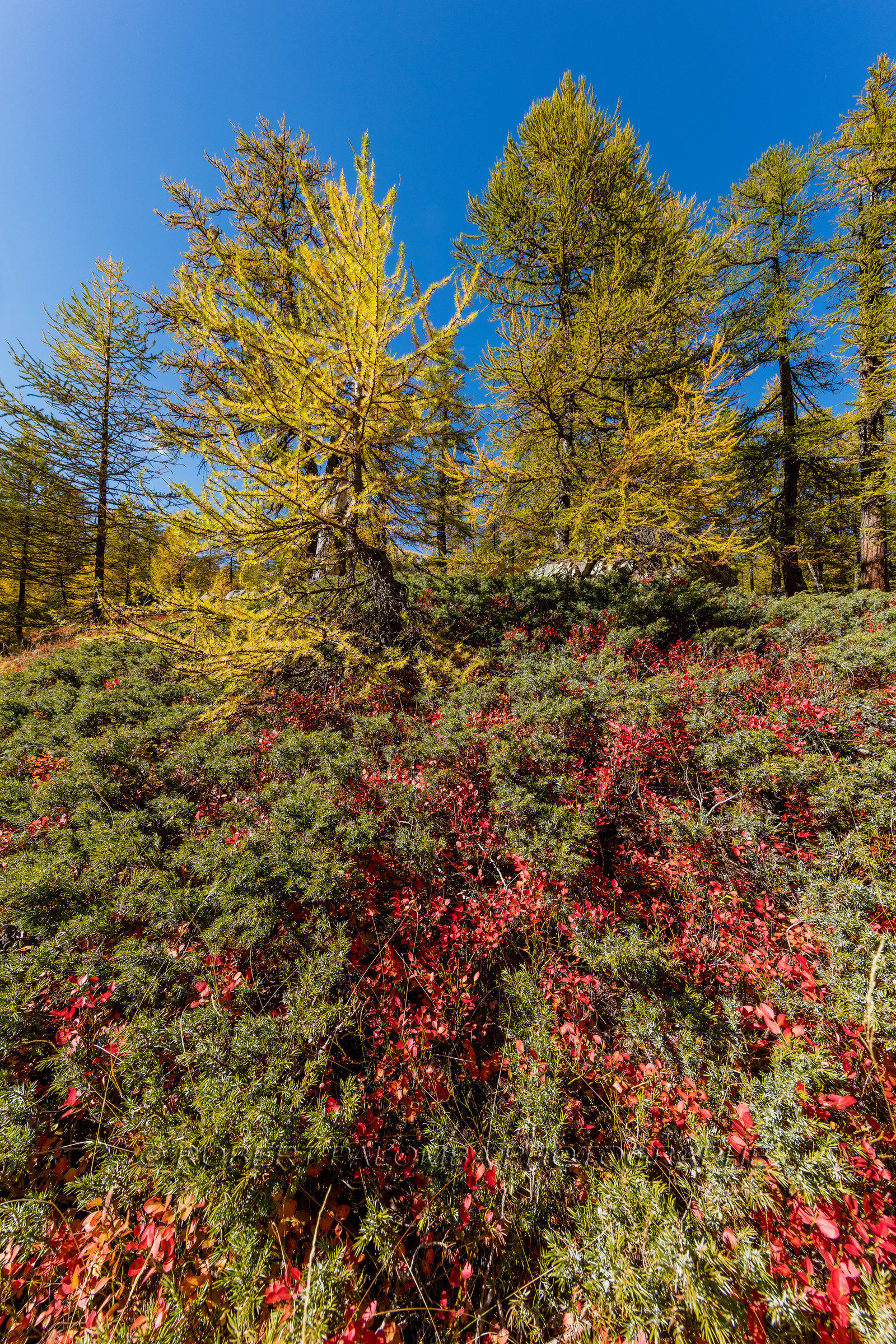 Col de la Moutière