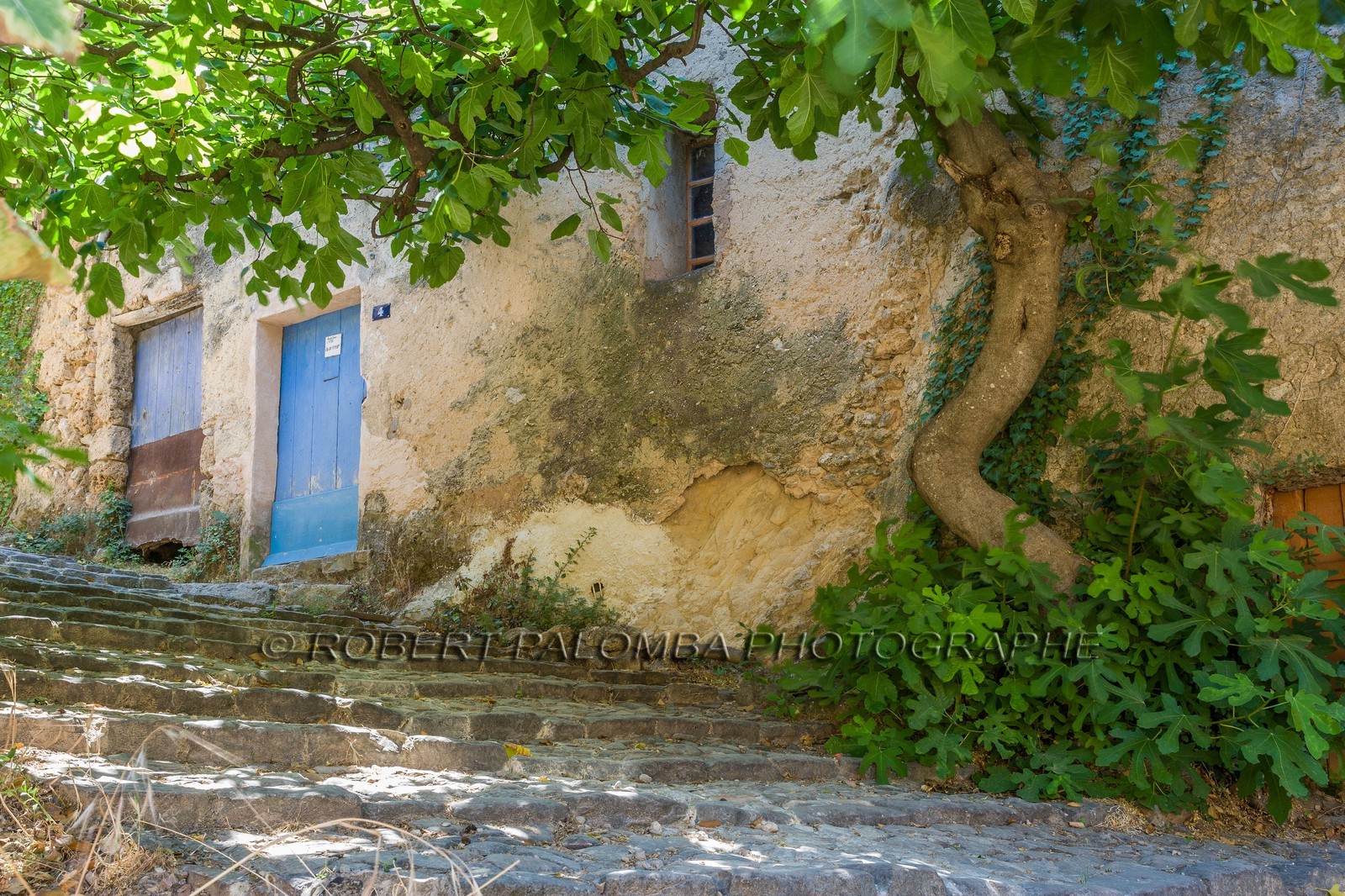 Cotignac