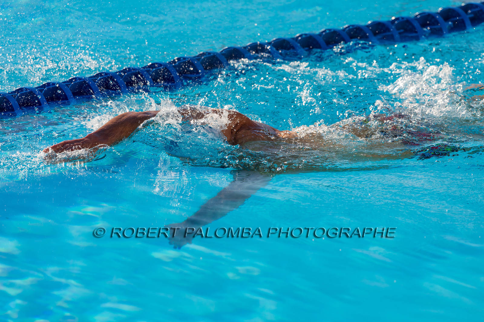 Natation