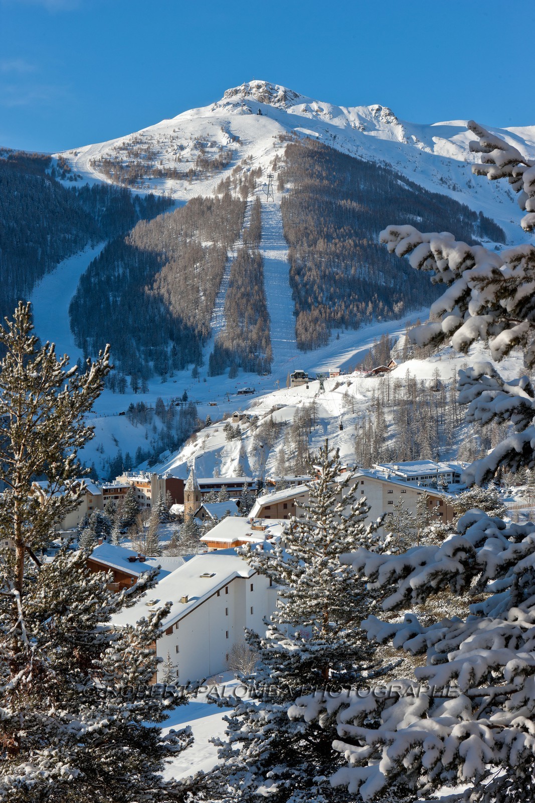Auron