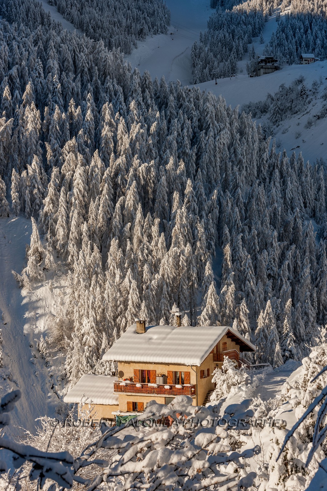 Auron