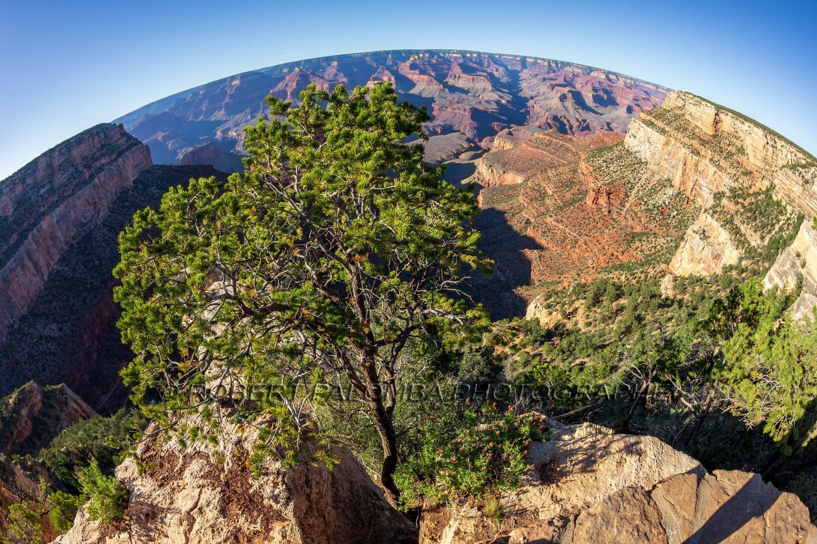 Grand Canyon