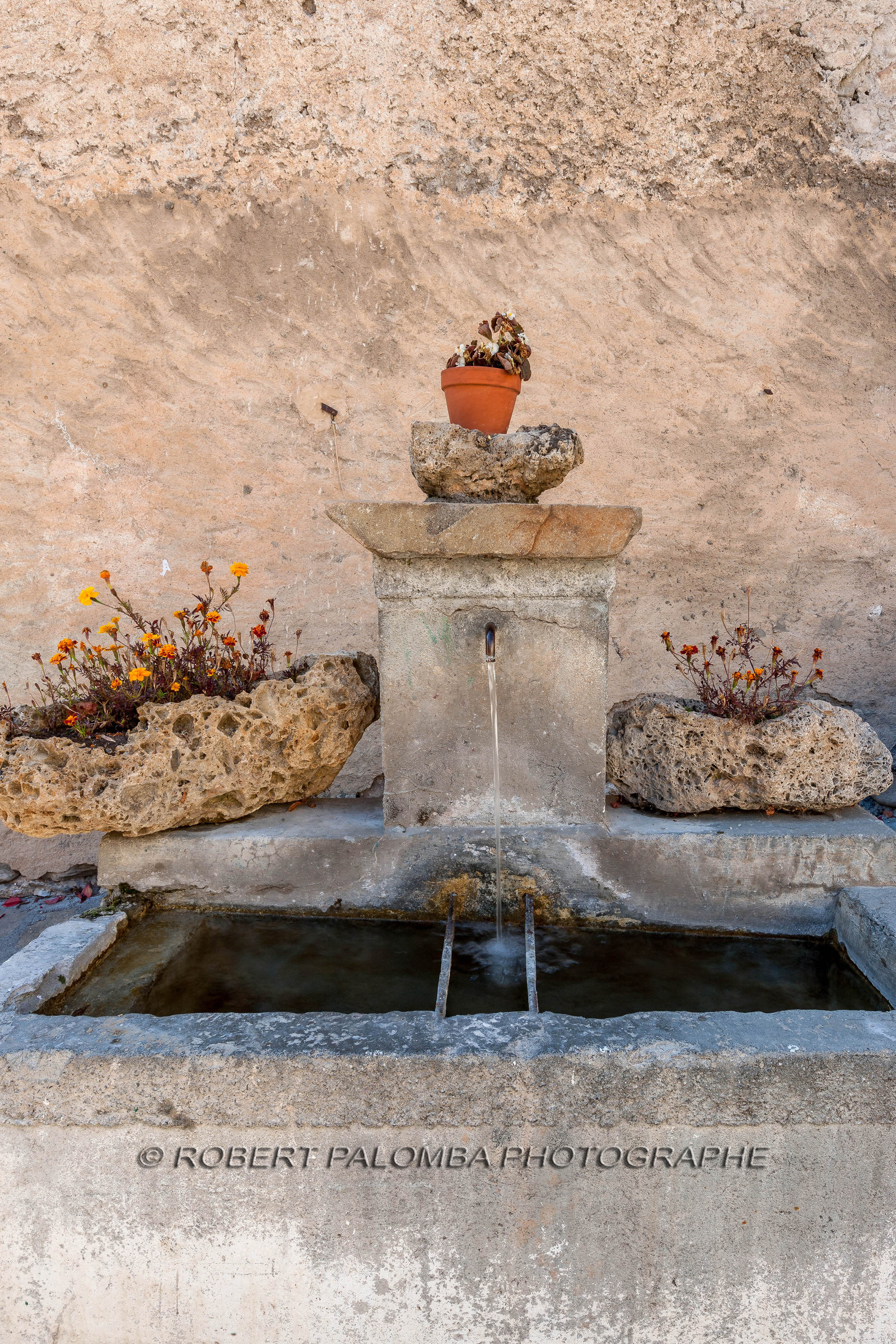 Saint-Dalmas-le-Selvage