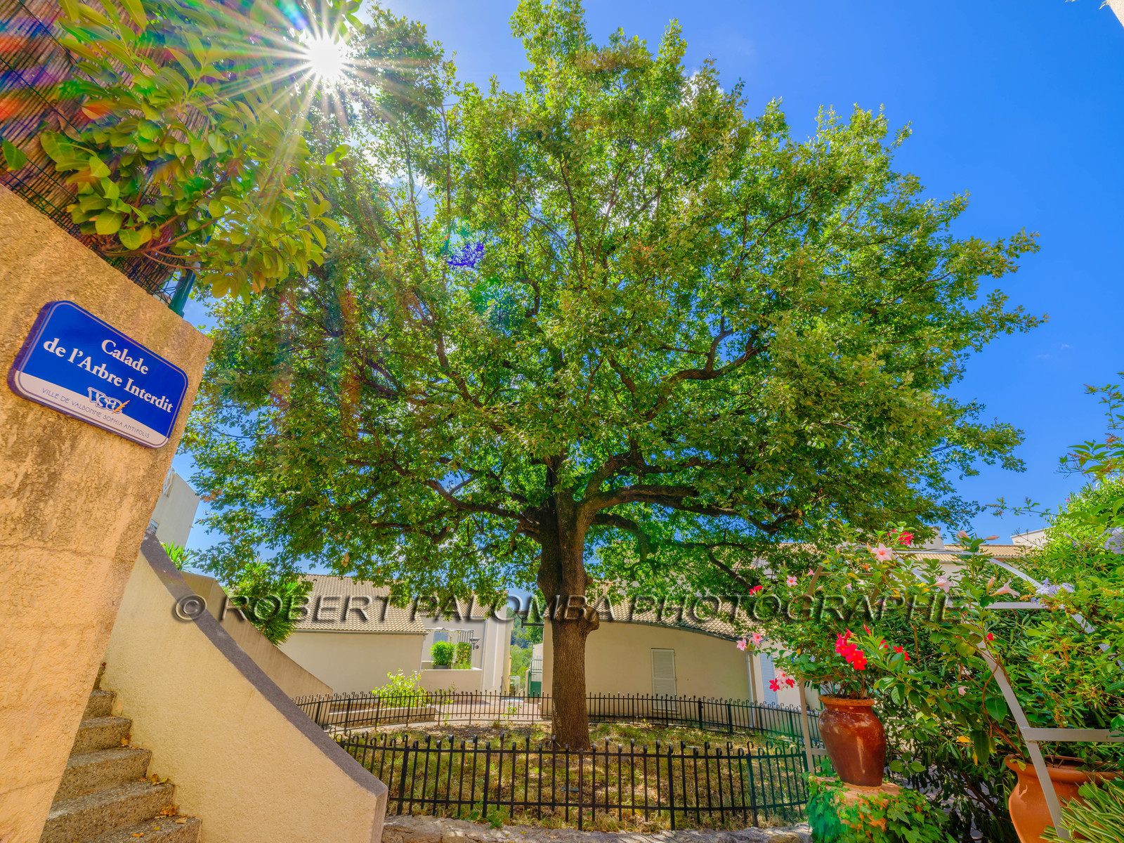 Sophia-Antipolis