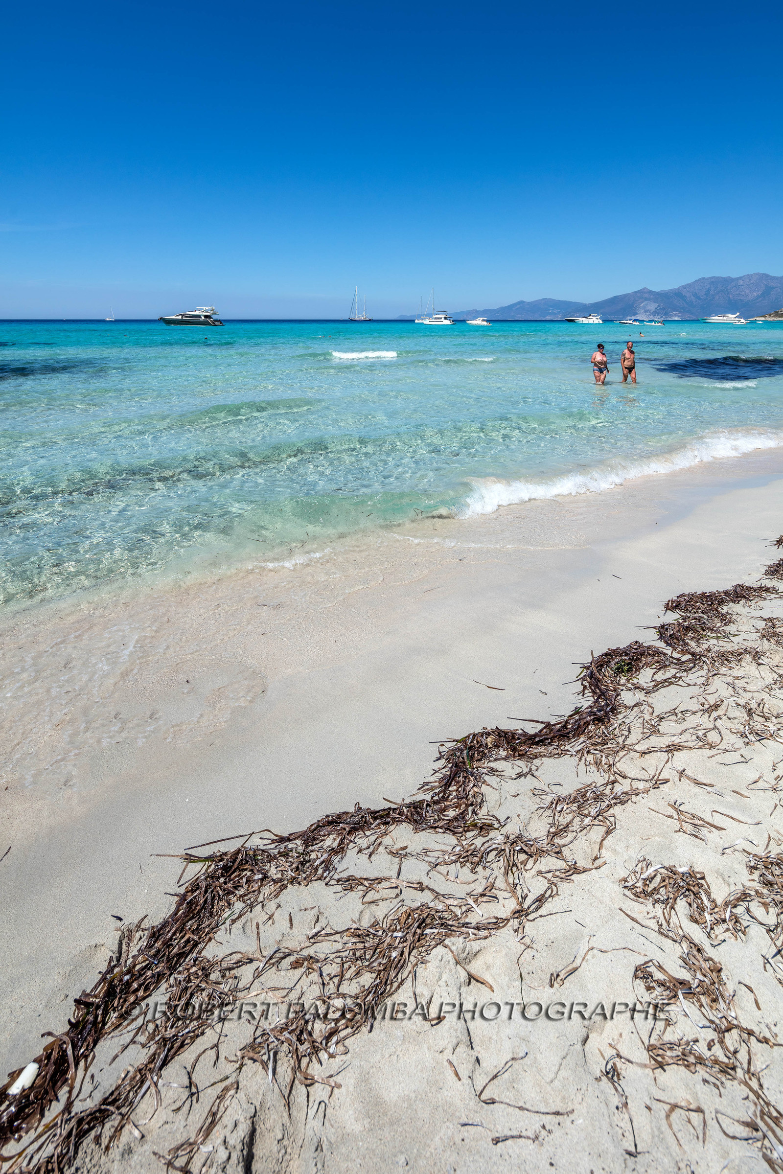 Saleccia