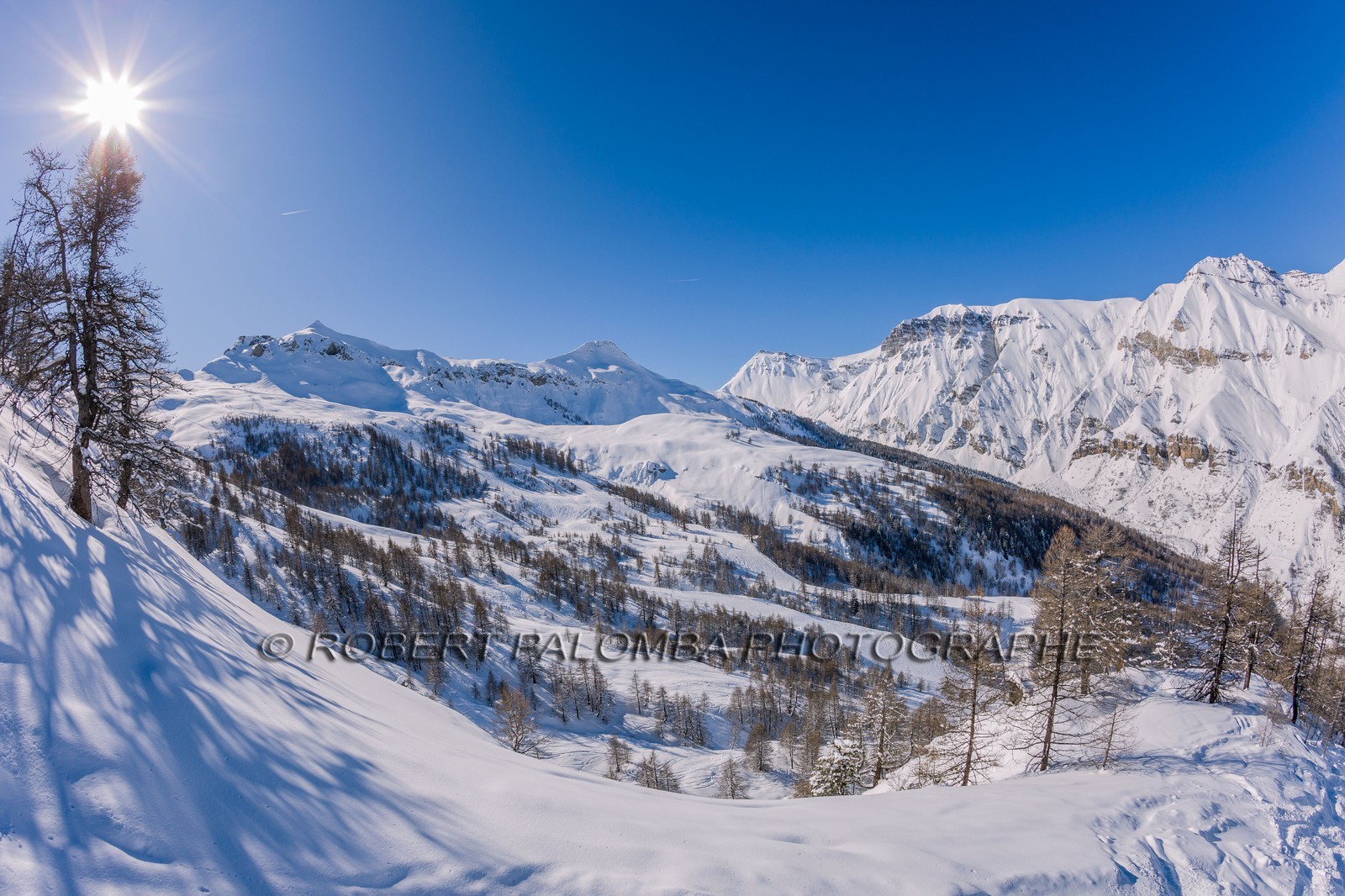 Auron