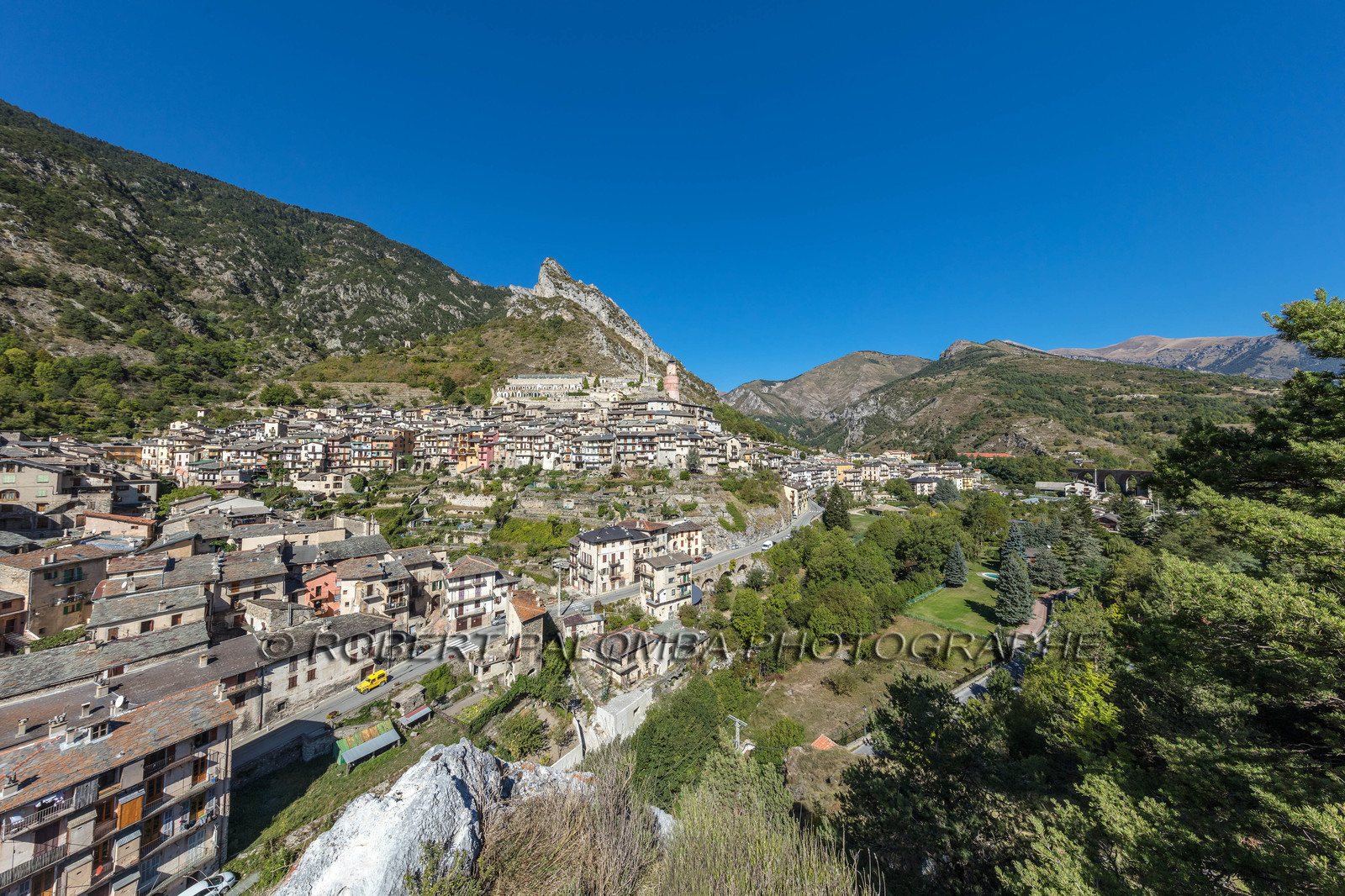 Tende
