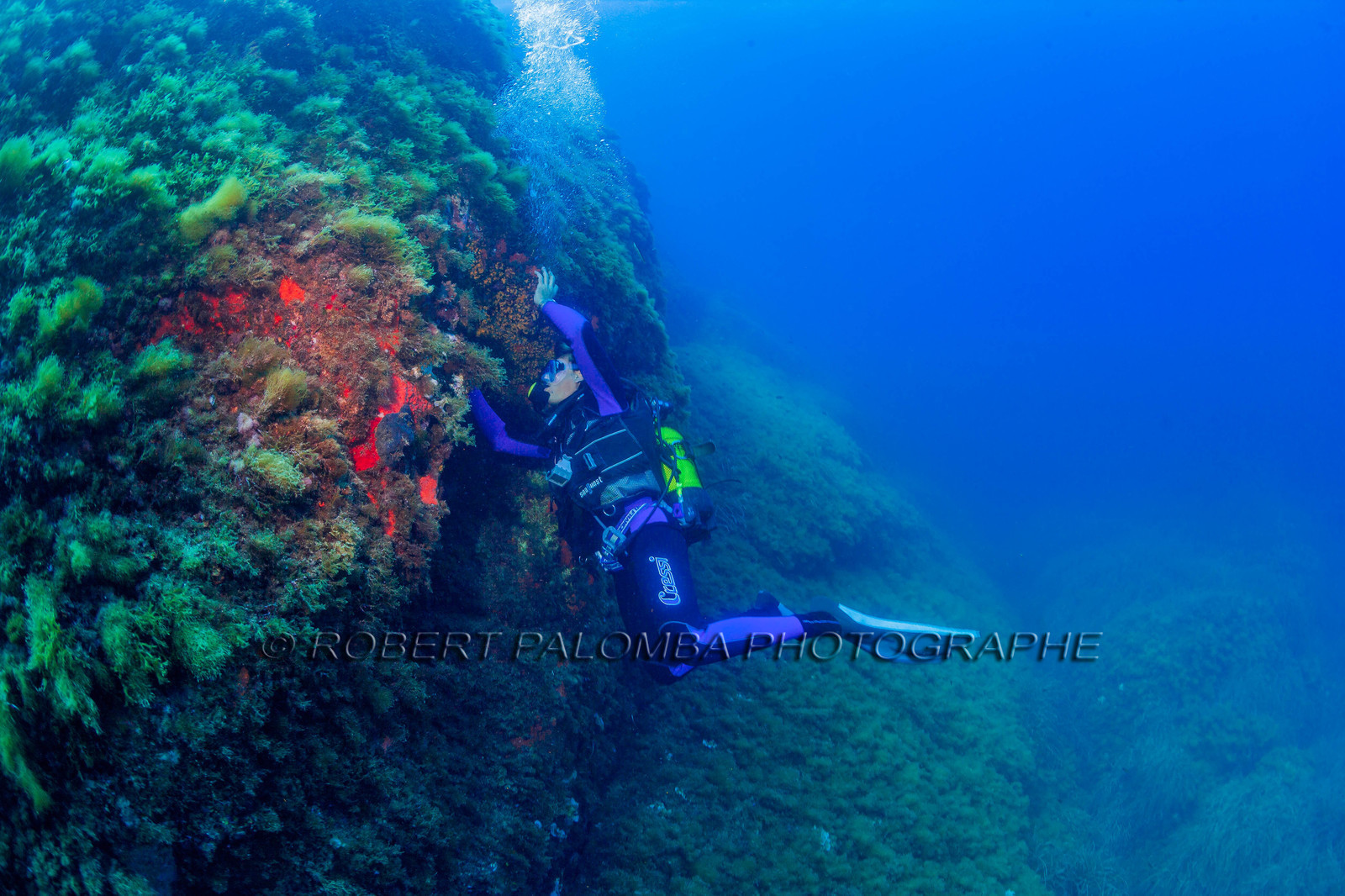 Plongée-sous-marine