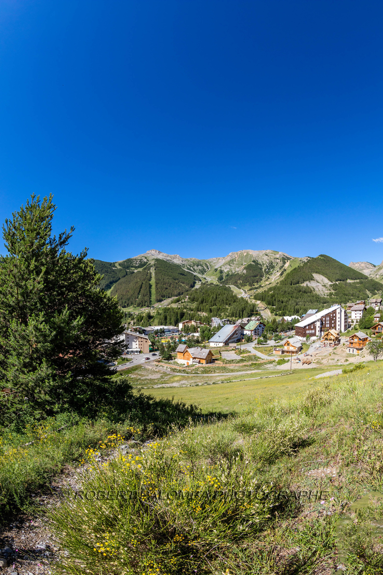 Auron