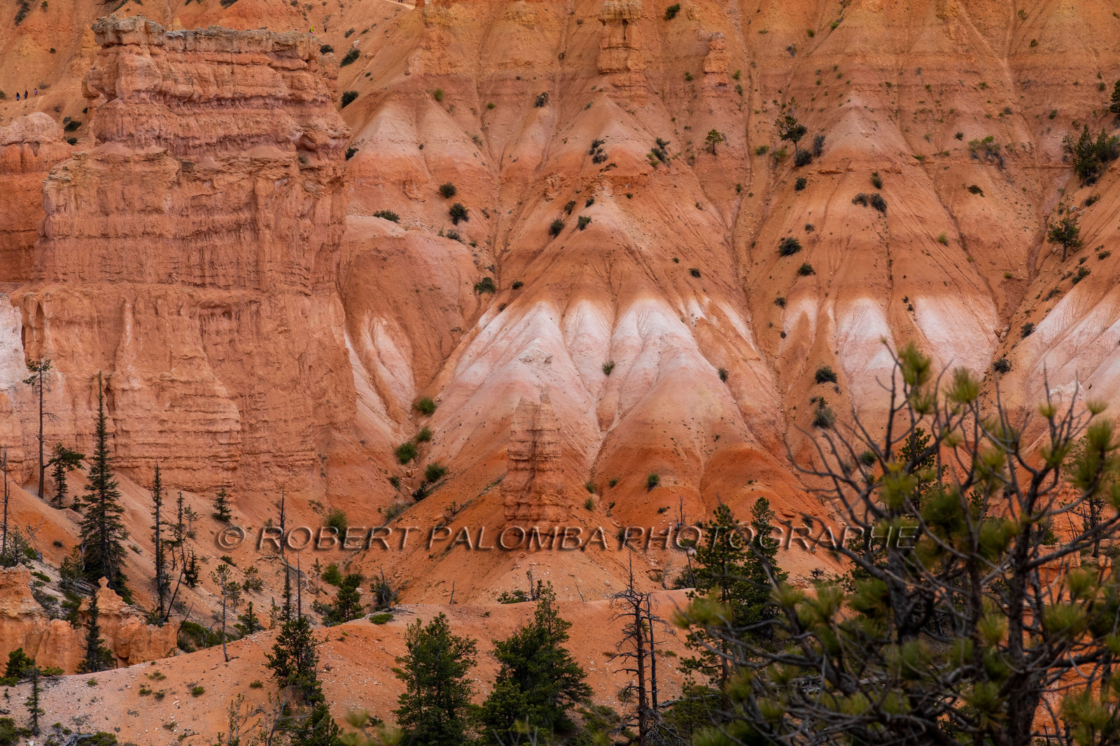Bryce Canyon