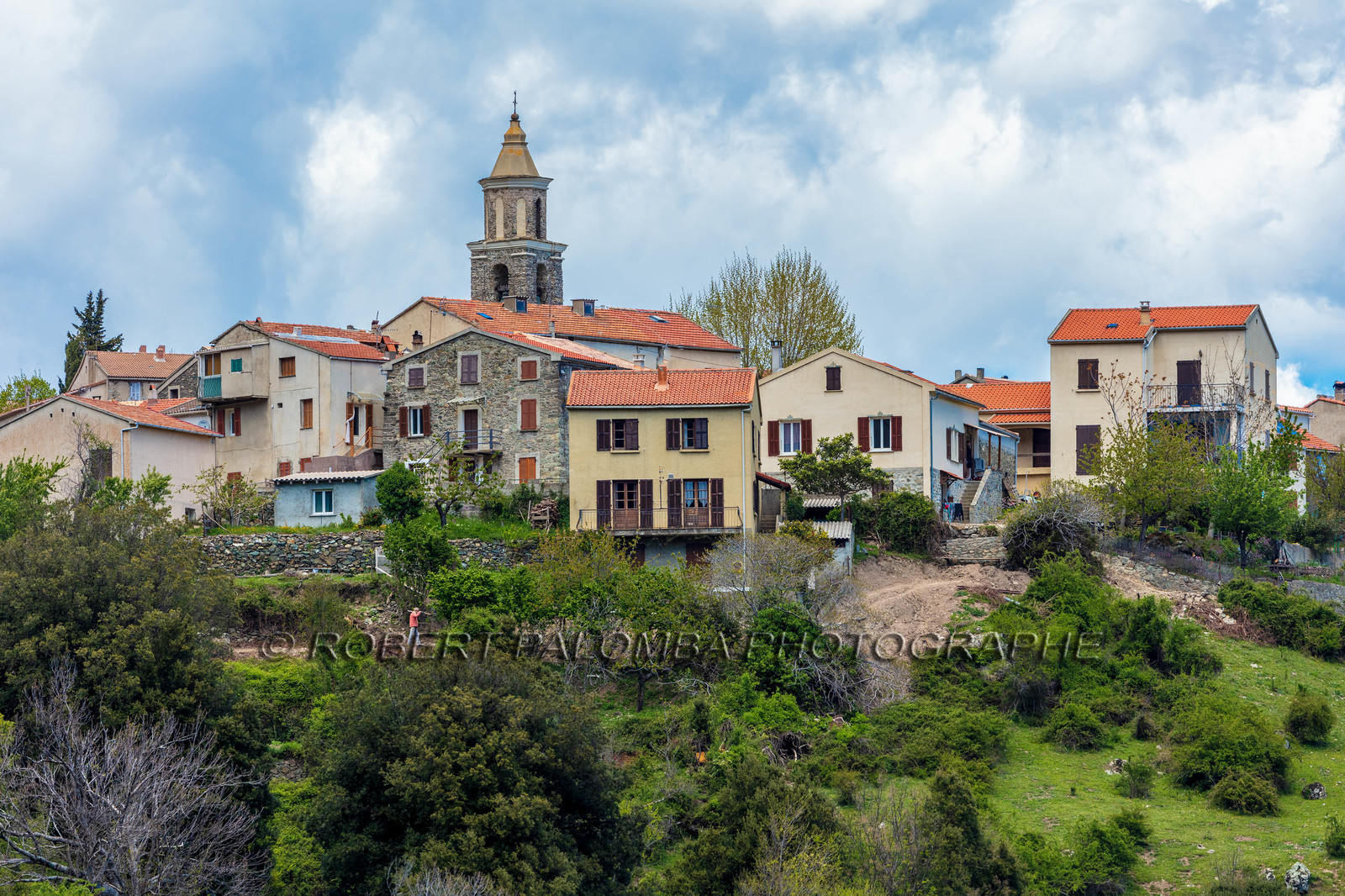 Vezzani