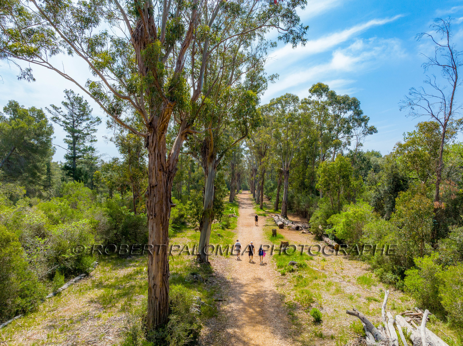Lérins Sainte-Marguerite