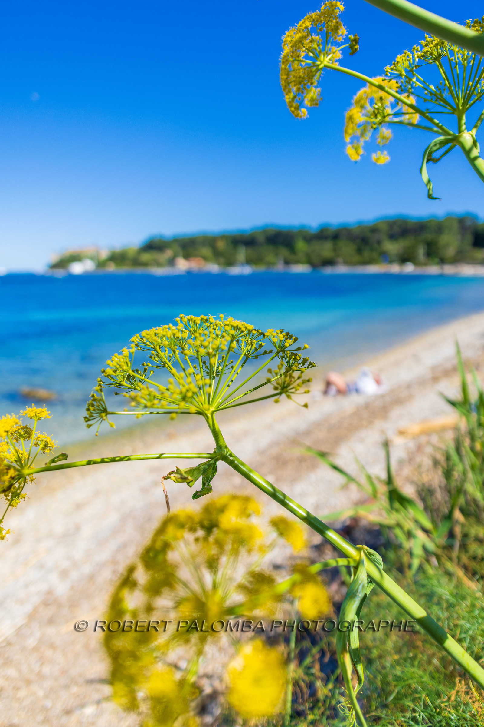 Lérins Sainte-Marguerite 2024