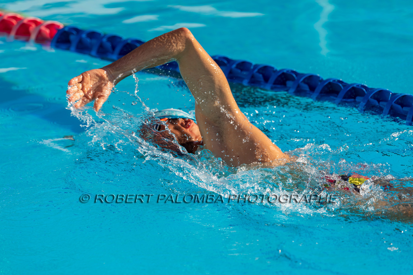 Natation
