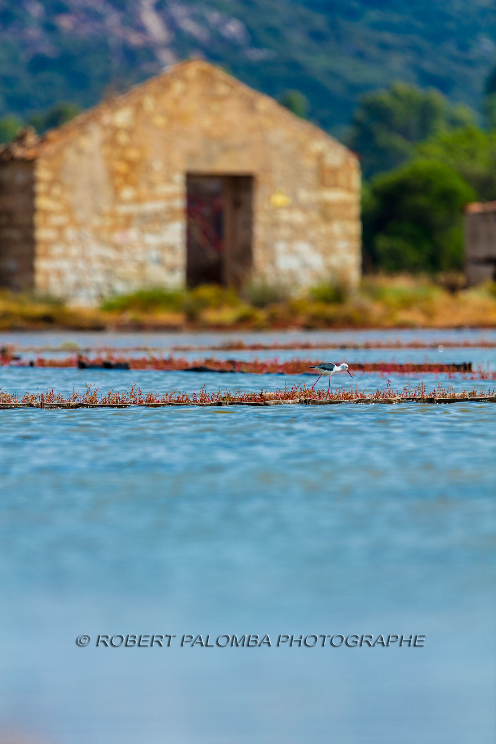 Porto-Vecchio
