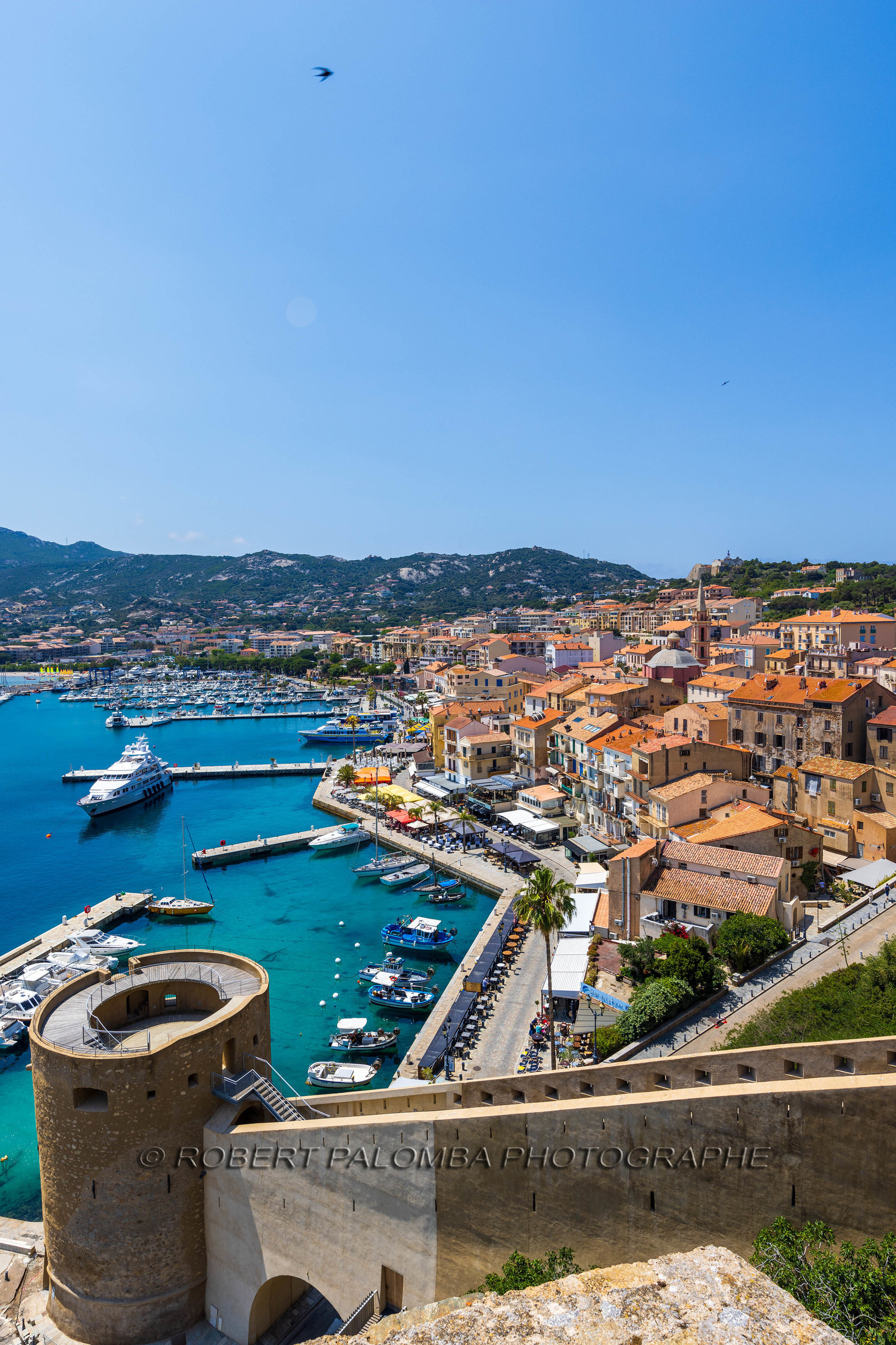 Calvi