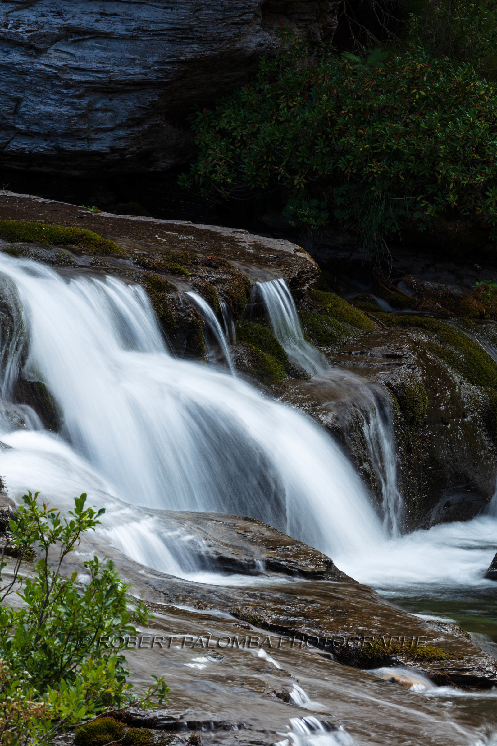 Torrent
