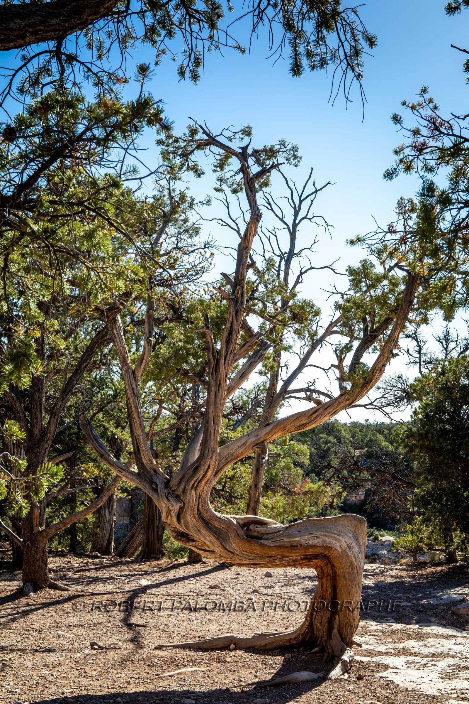 Grand Canyon