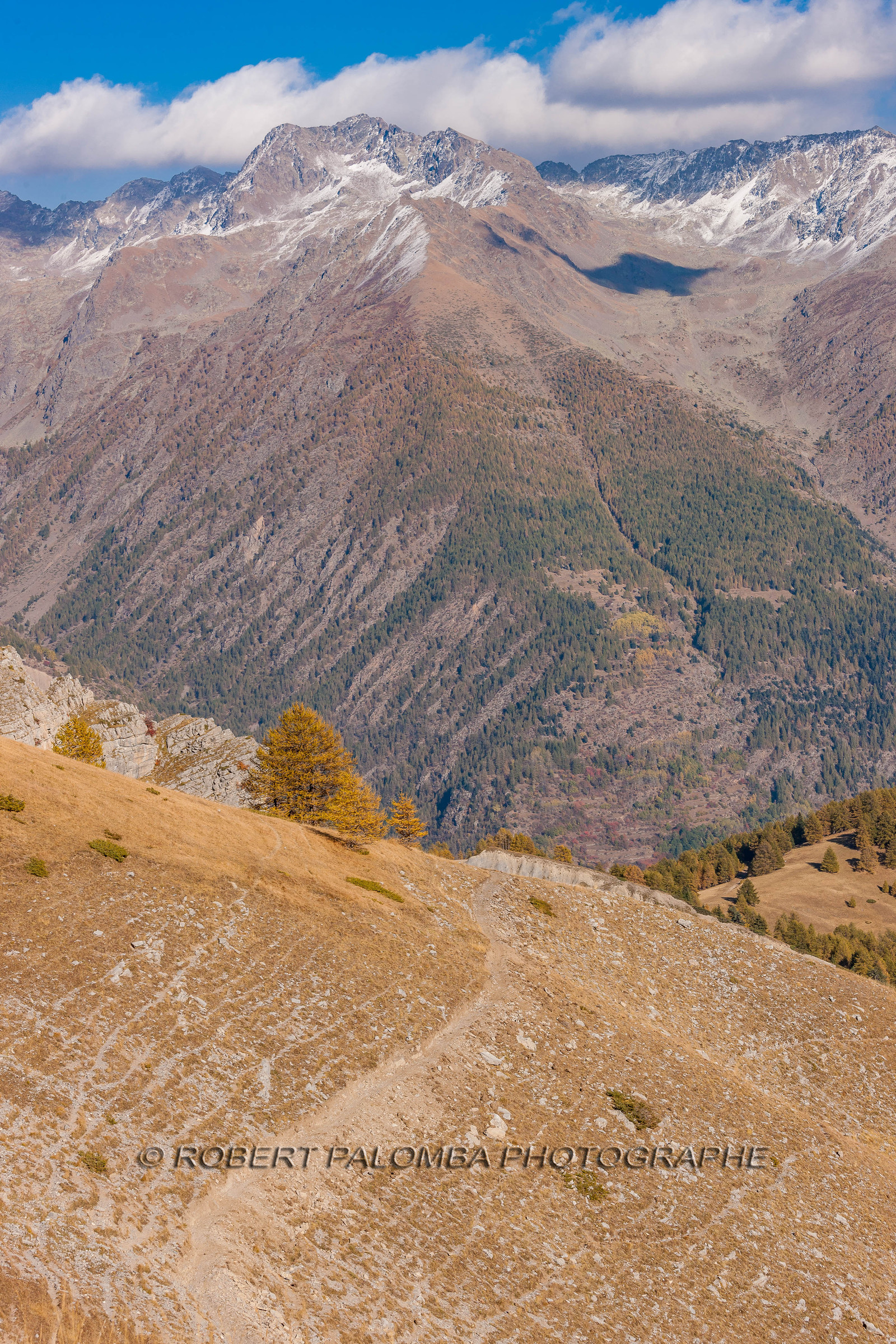 Auron