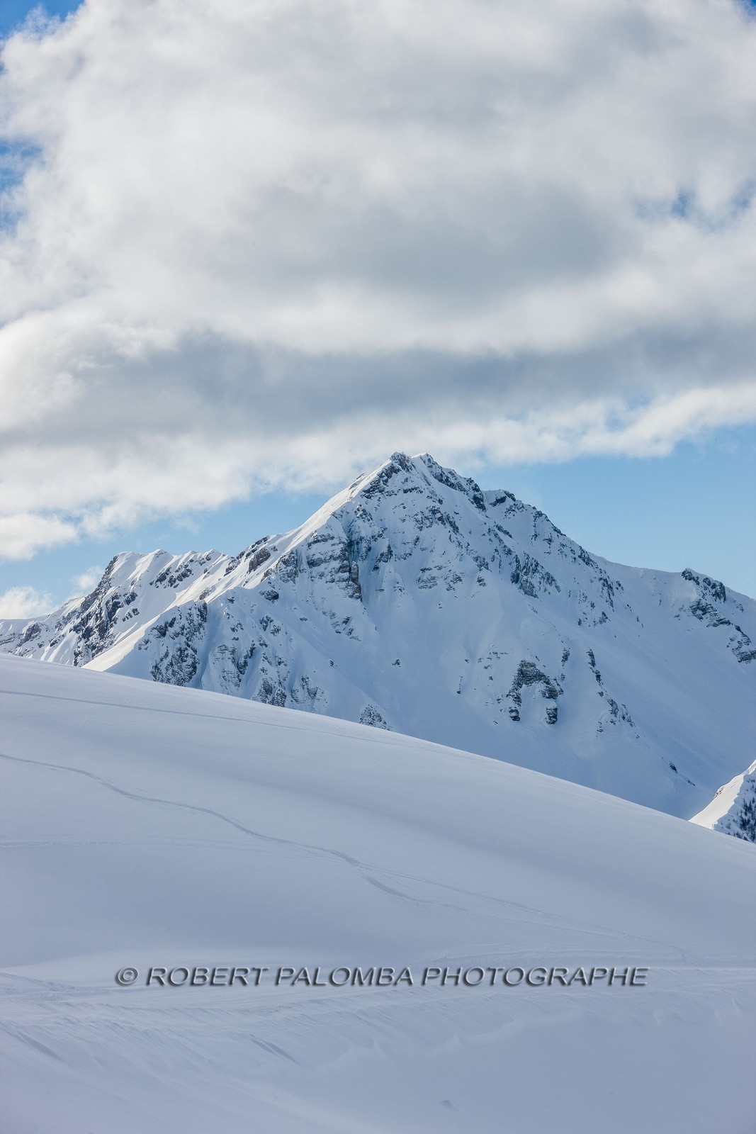 Auron