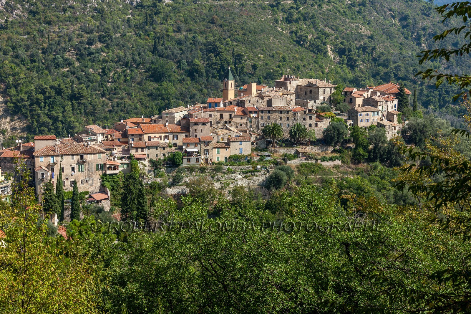 Gorbio