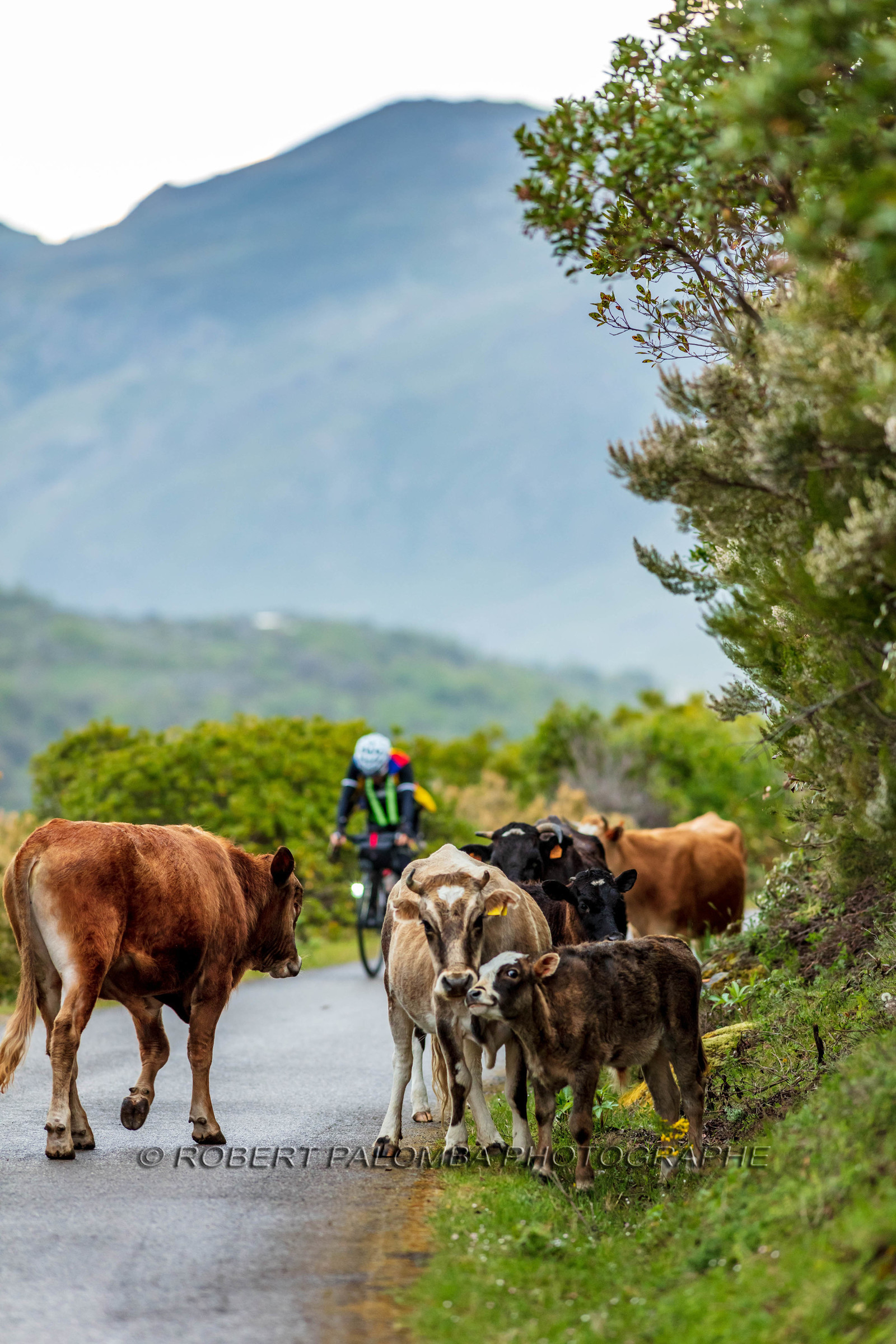 Bikingman Corsica 2019