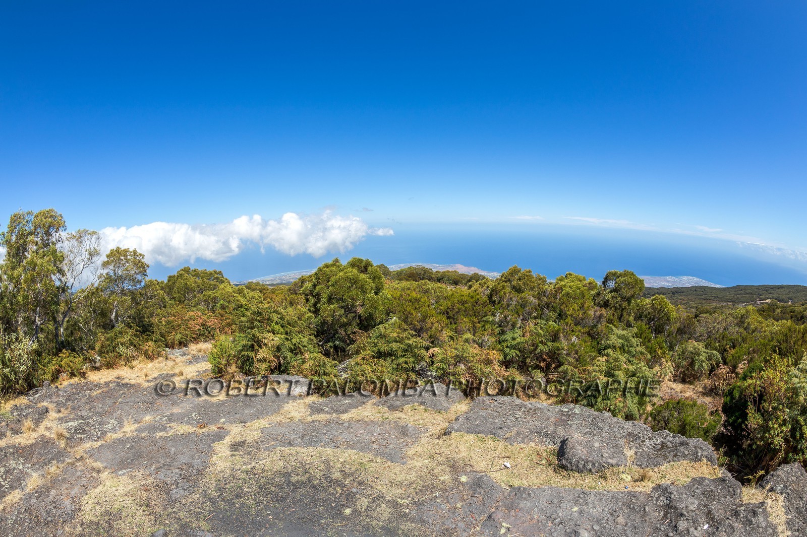 Piton Maïdo