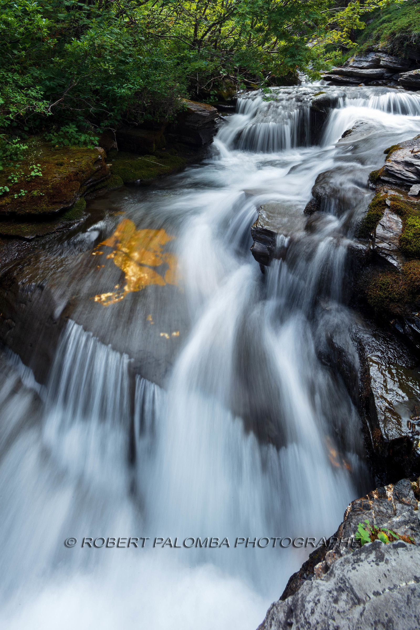 Torrent