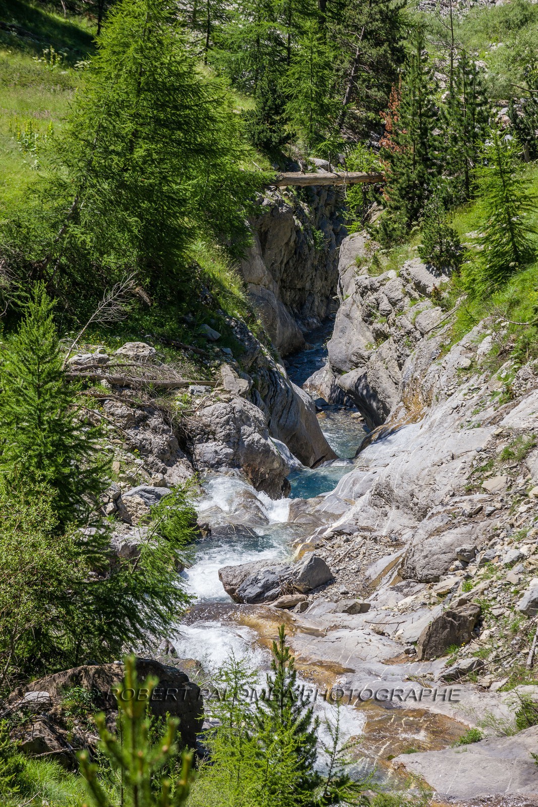 Allos