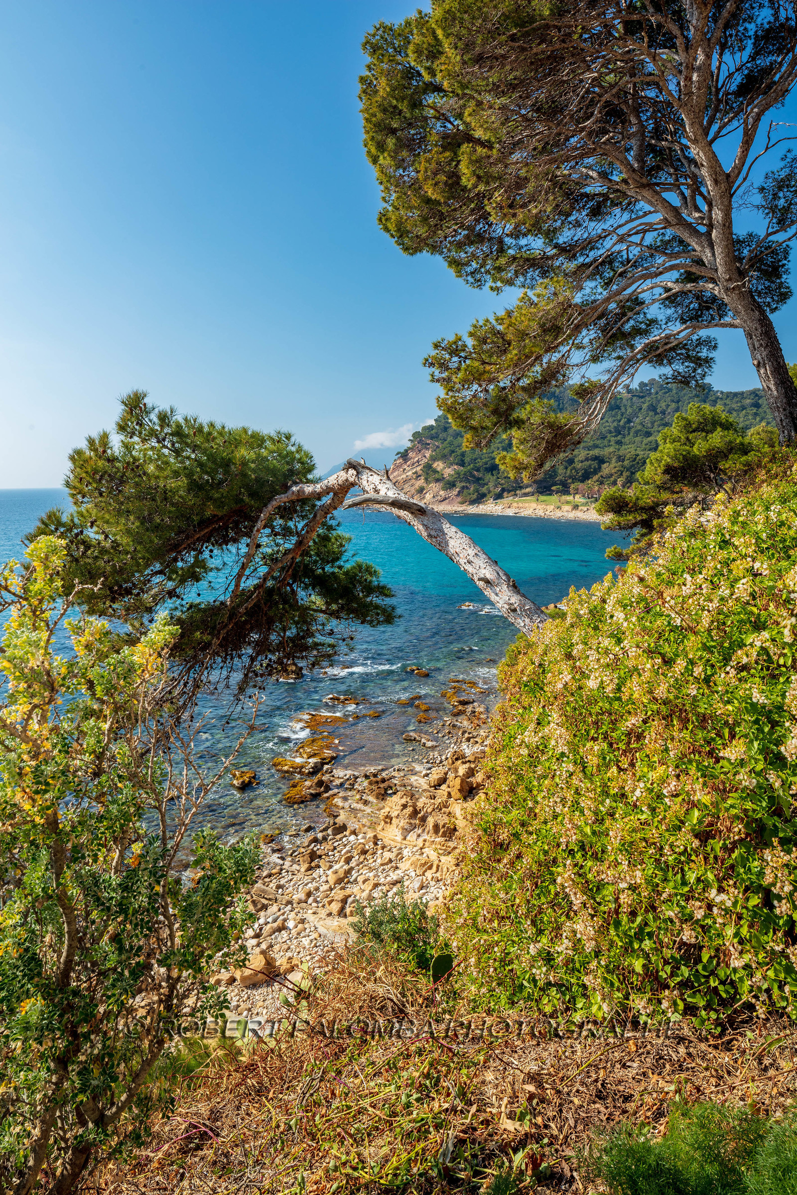 Saint-Mandrier-sur-Mer