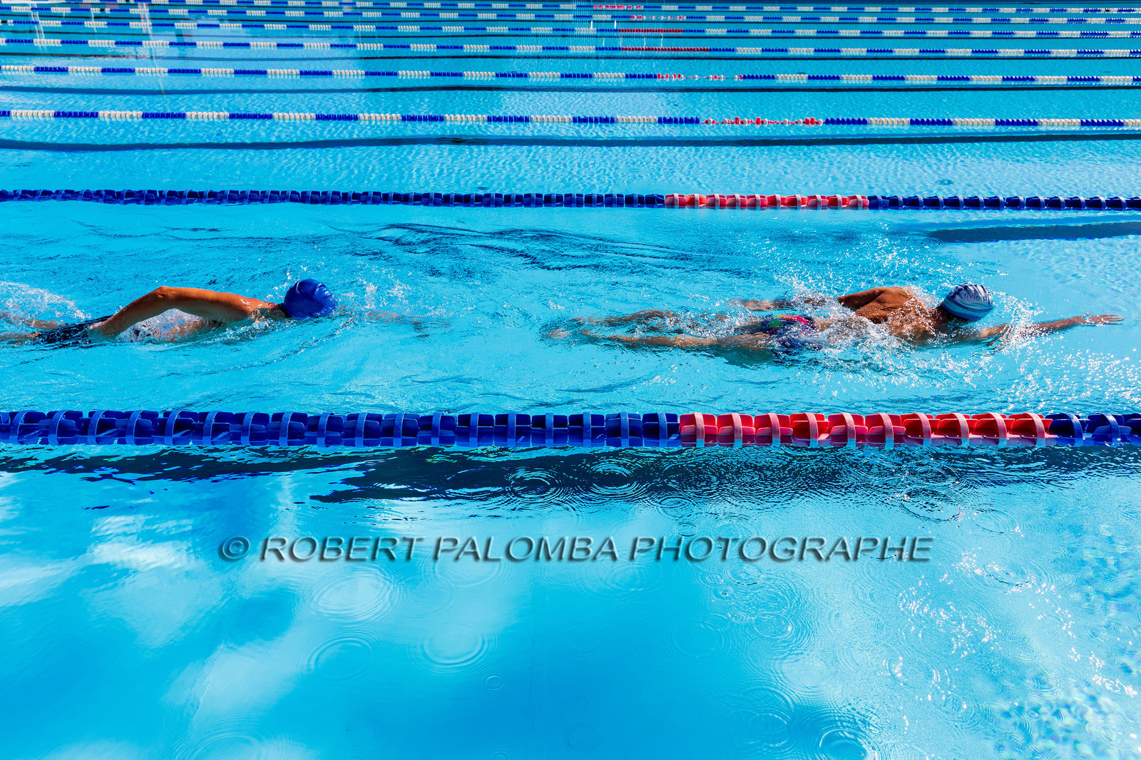 Natation