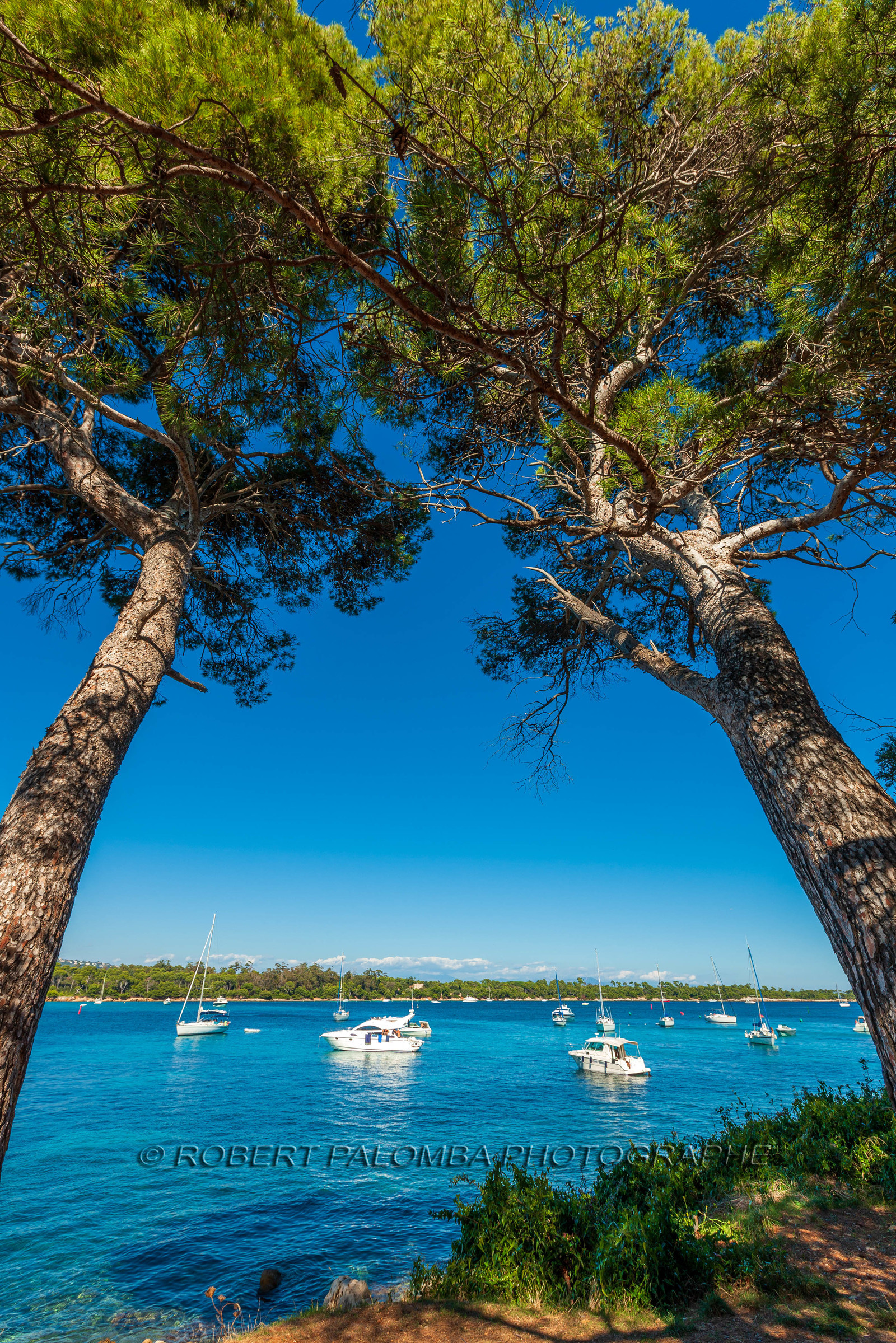 Ile St Honorat