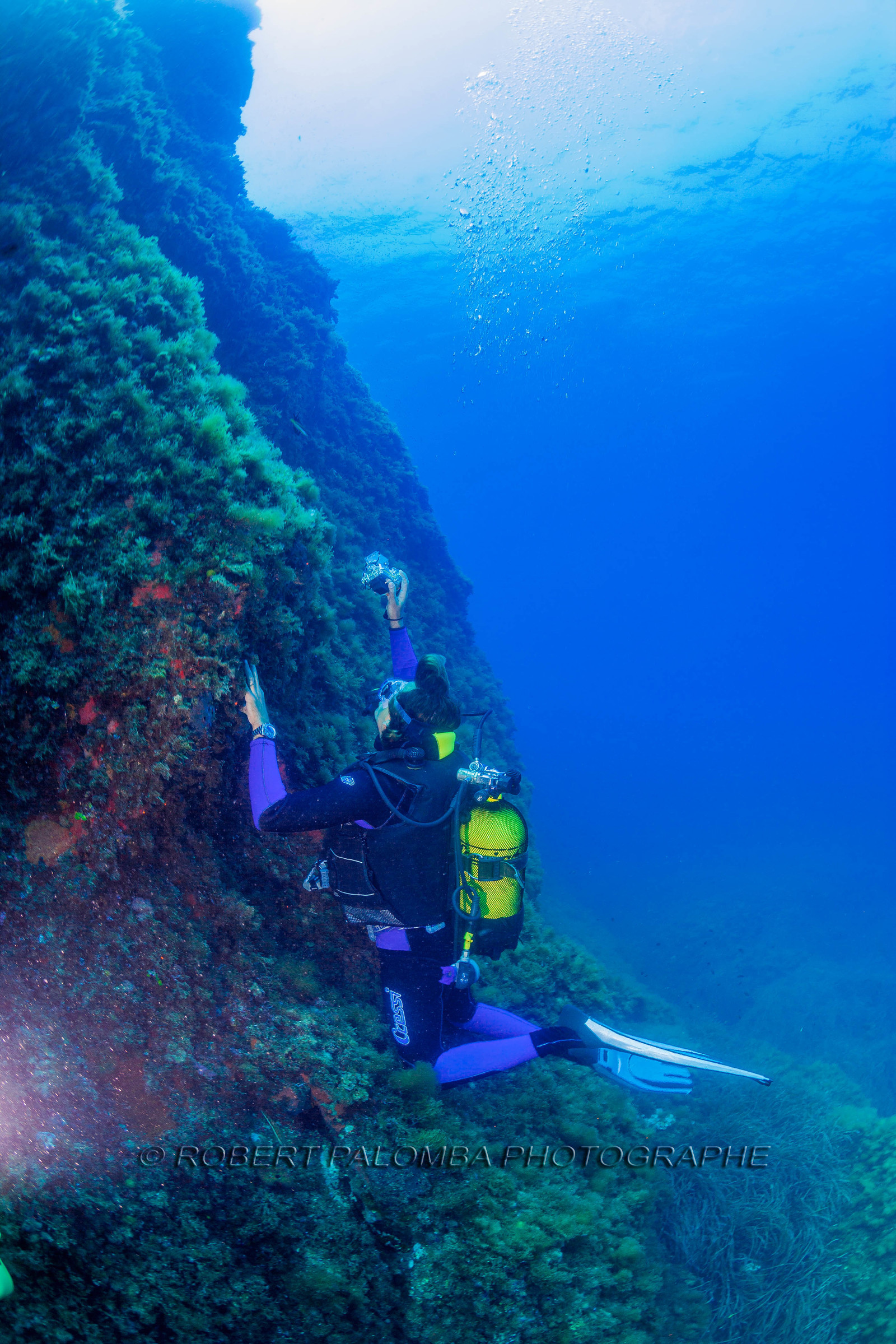 Plongée-sous-marine