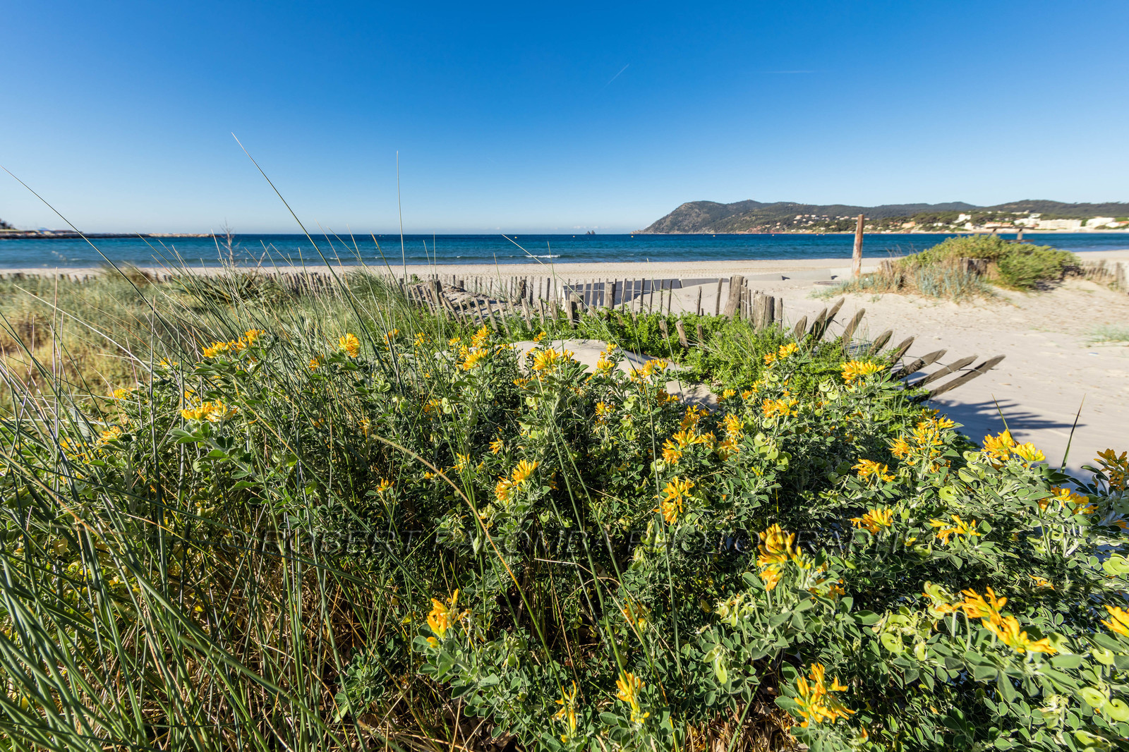 Plage des Sablettes