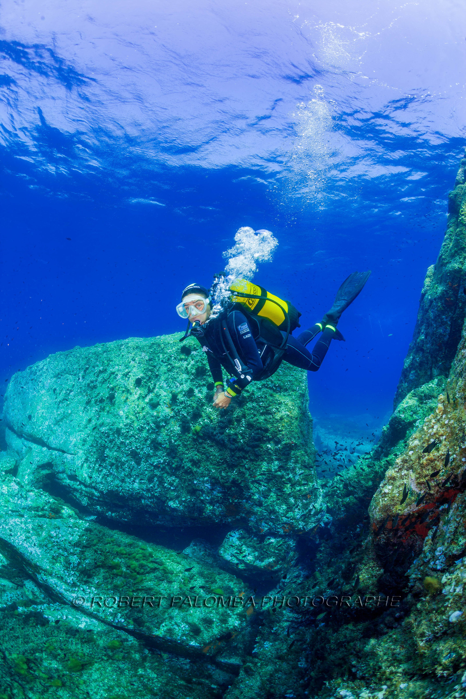 Plongée-sous-marine